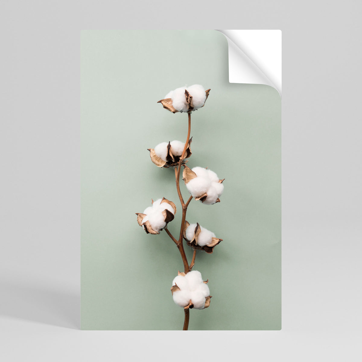 COTTON DREAMS UNFOLDED Selbstklebendes Poster - Hochformat