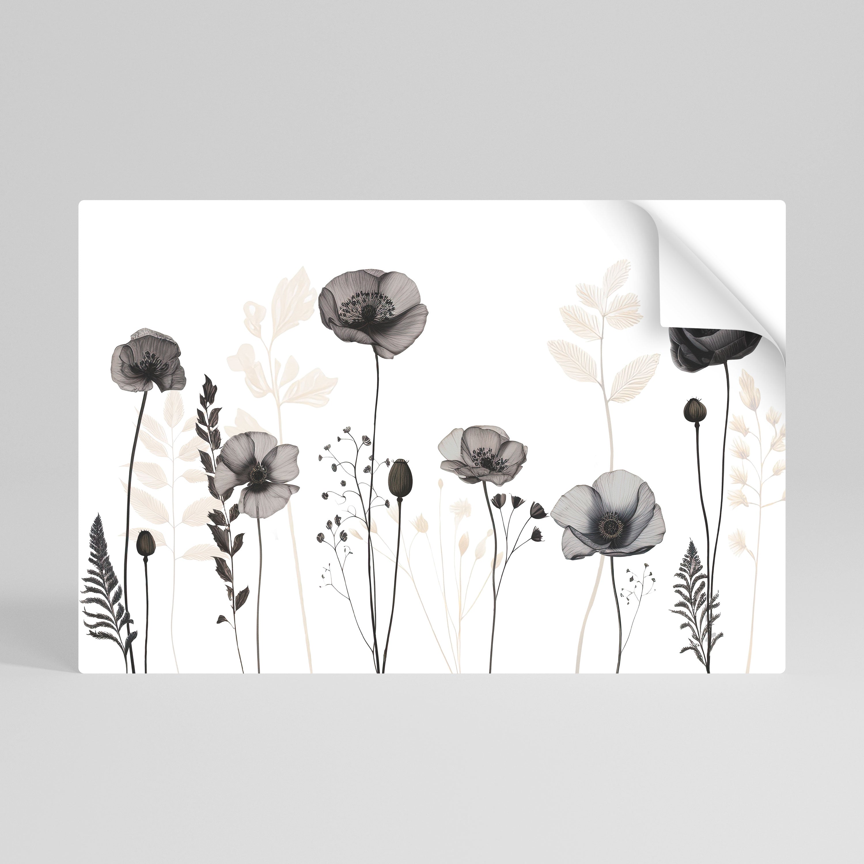 POPPY ALLURE Horizontales Poster zum Abziehen und Aufkleben