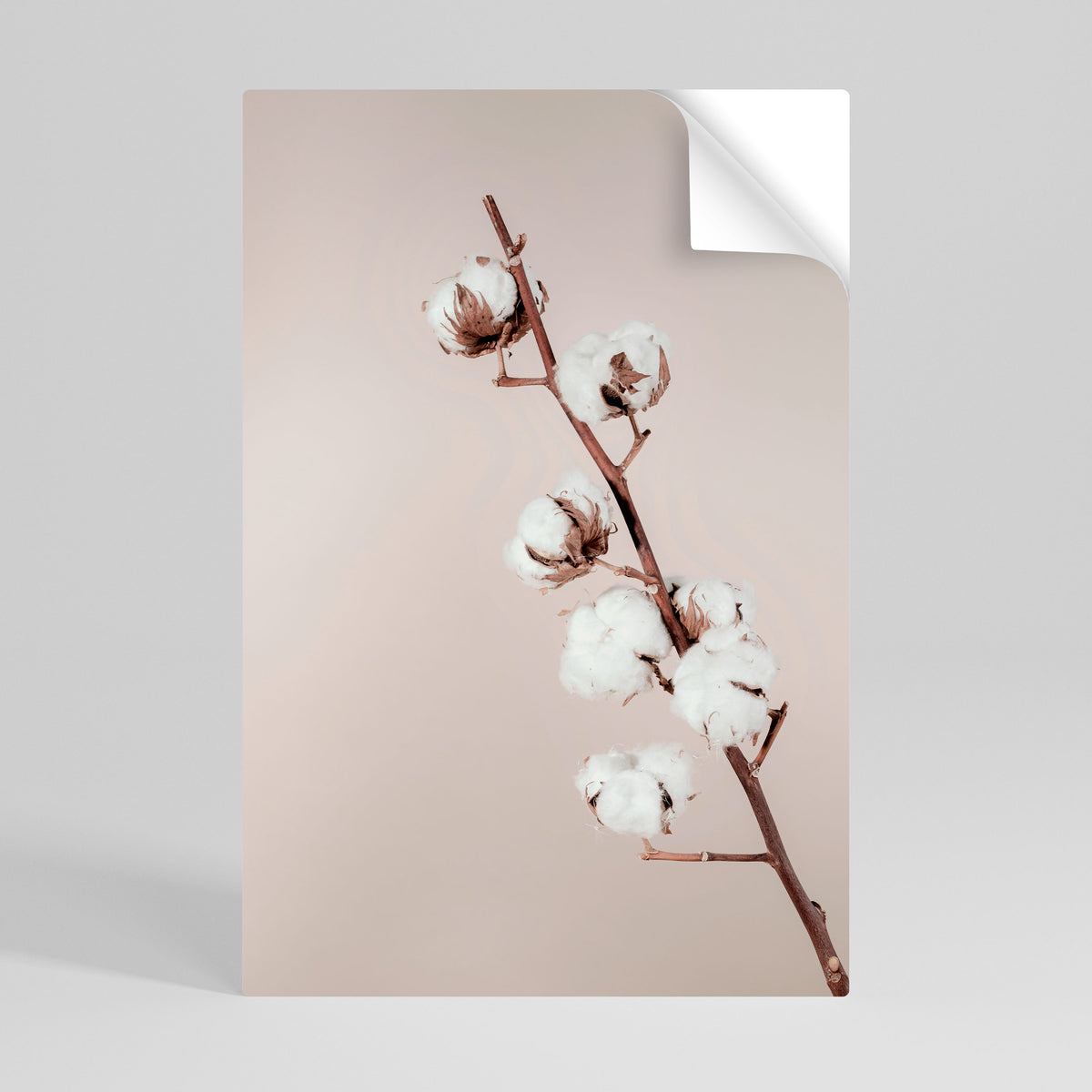 COTTON CLOUDS IN BALANCE Selbstklebendes Poster - Hochformat