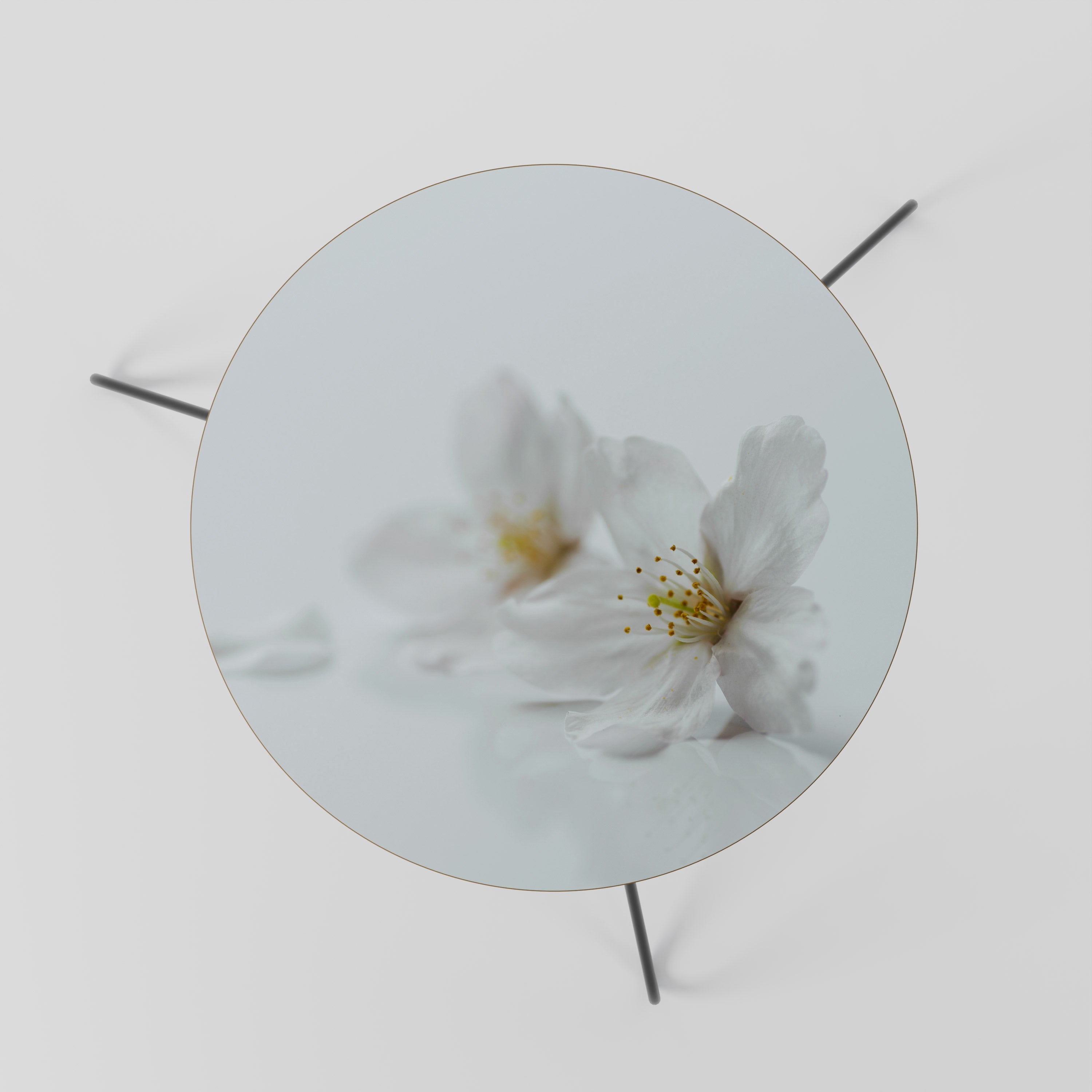 FLEETING WHITE PETALS Couchtisch 60