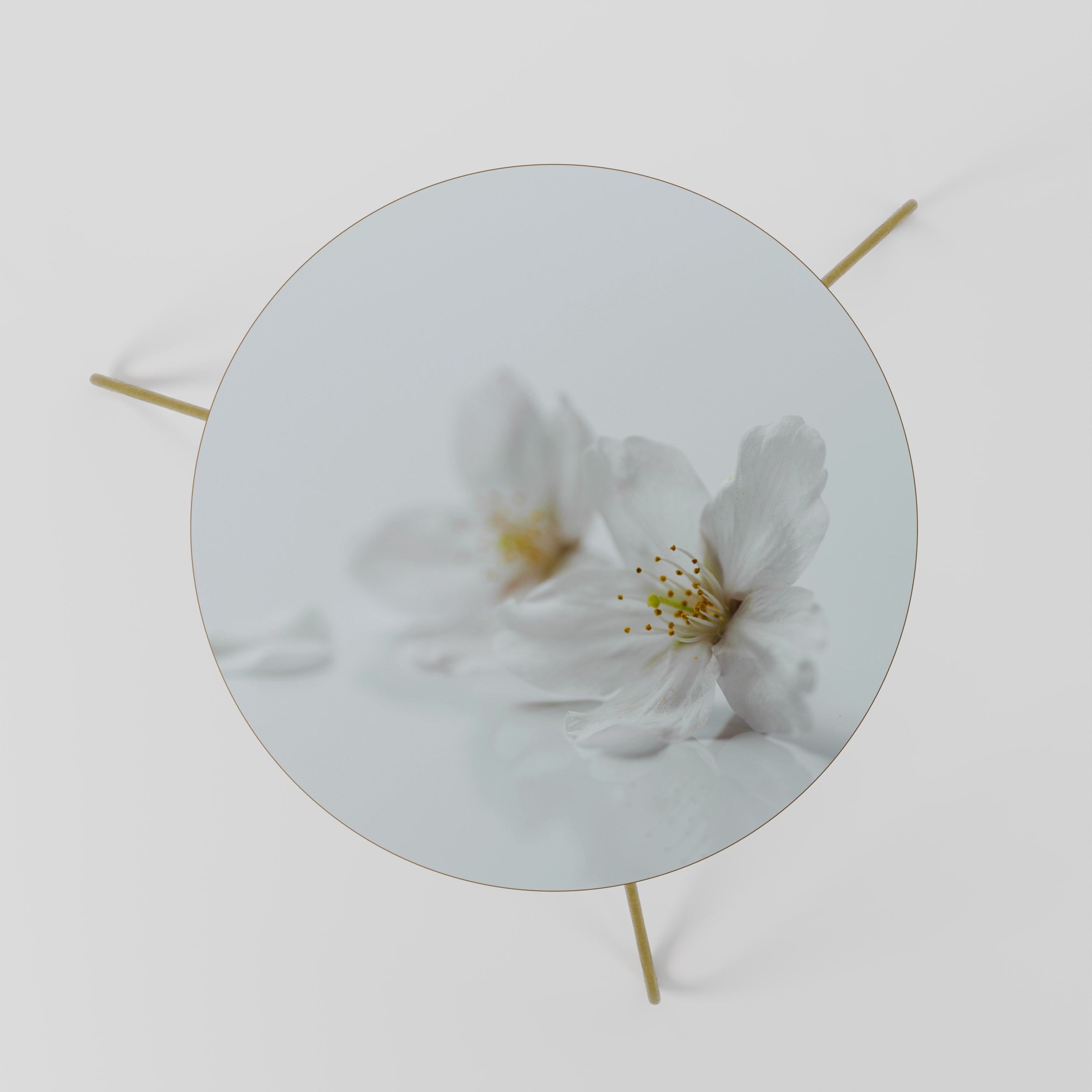 FLEETING WHITE PETALS Couchtisch 60