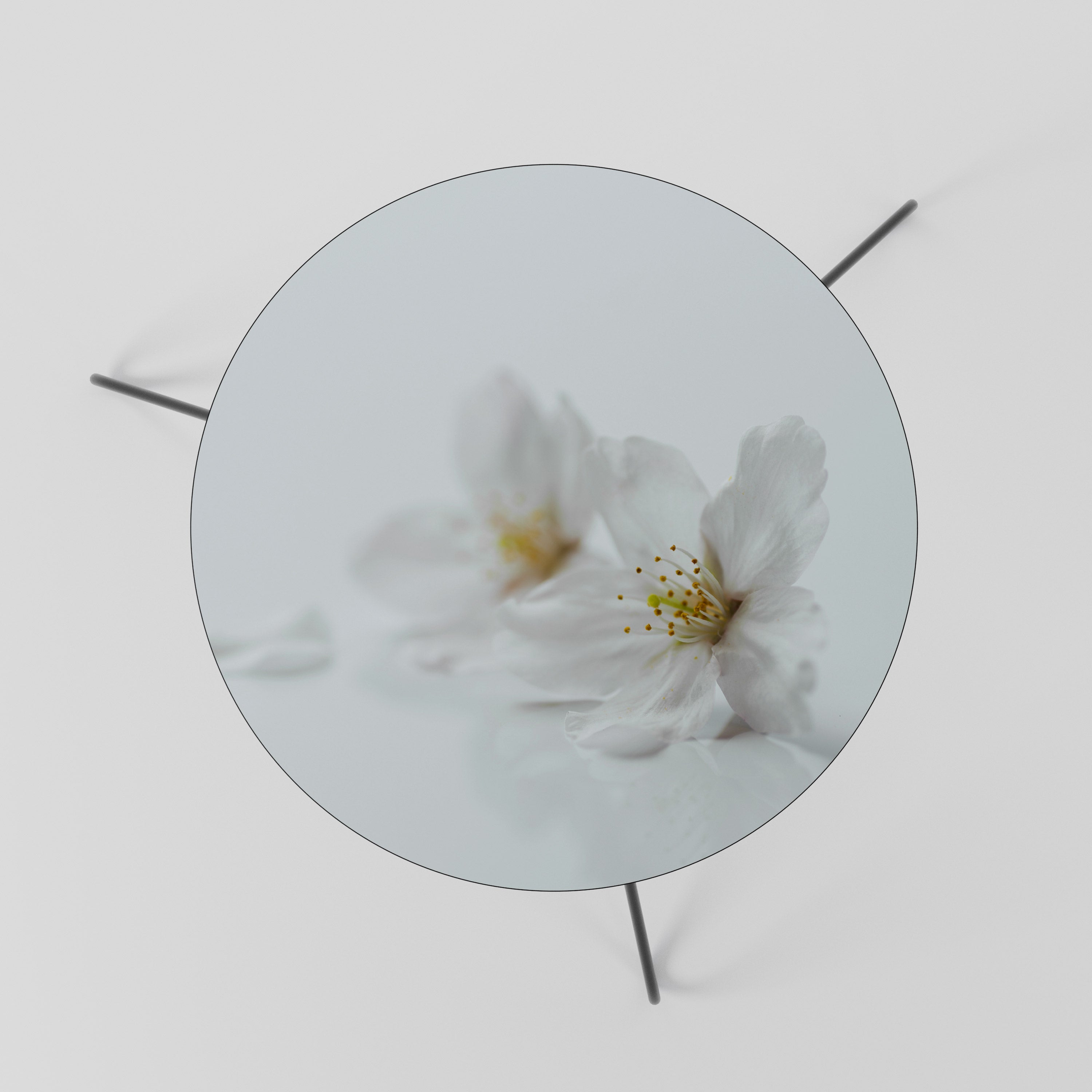 FLEETING WHITE PETALS Couchtisch 60