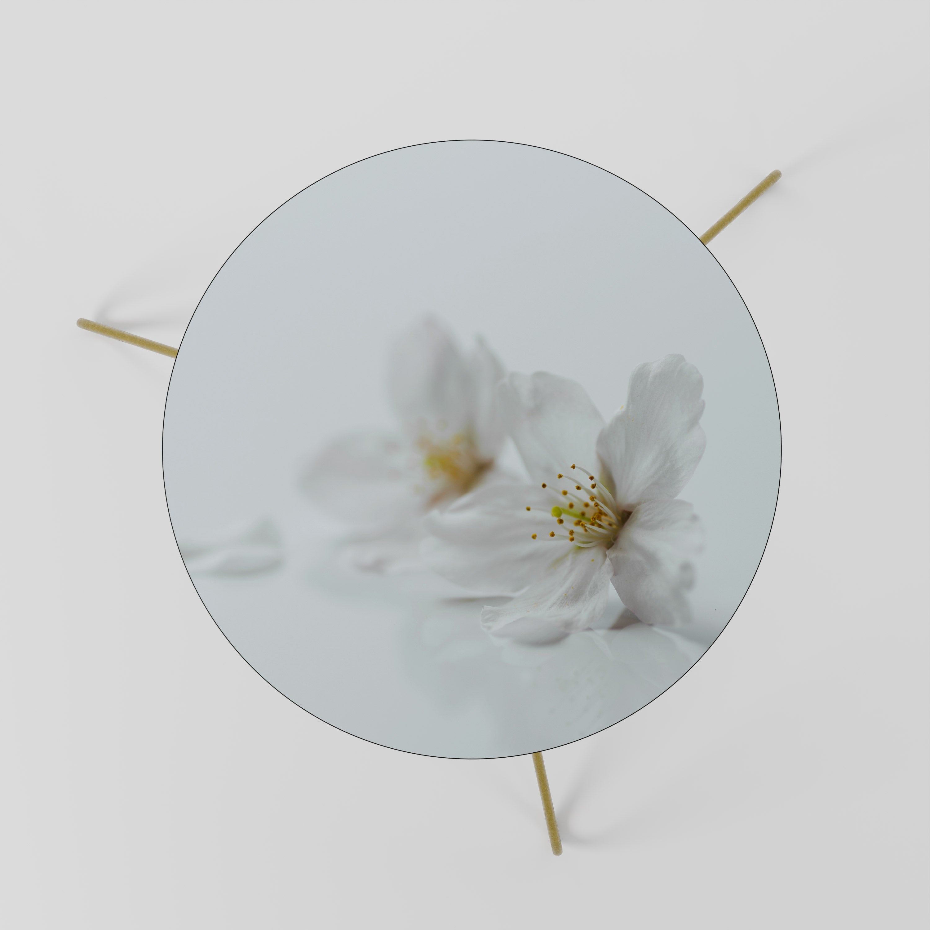 FLEETING WHITE PETALS Couchtisch 60