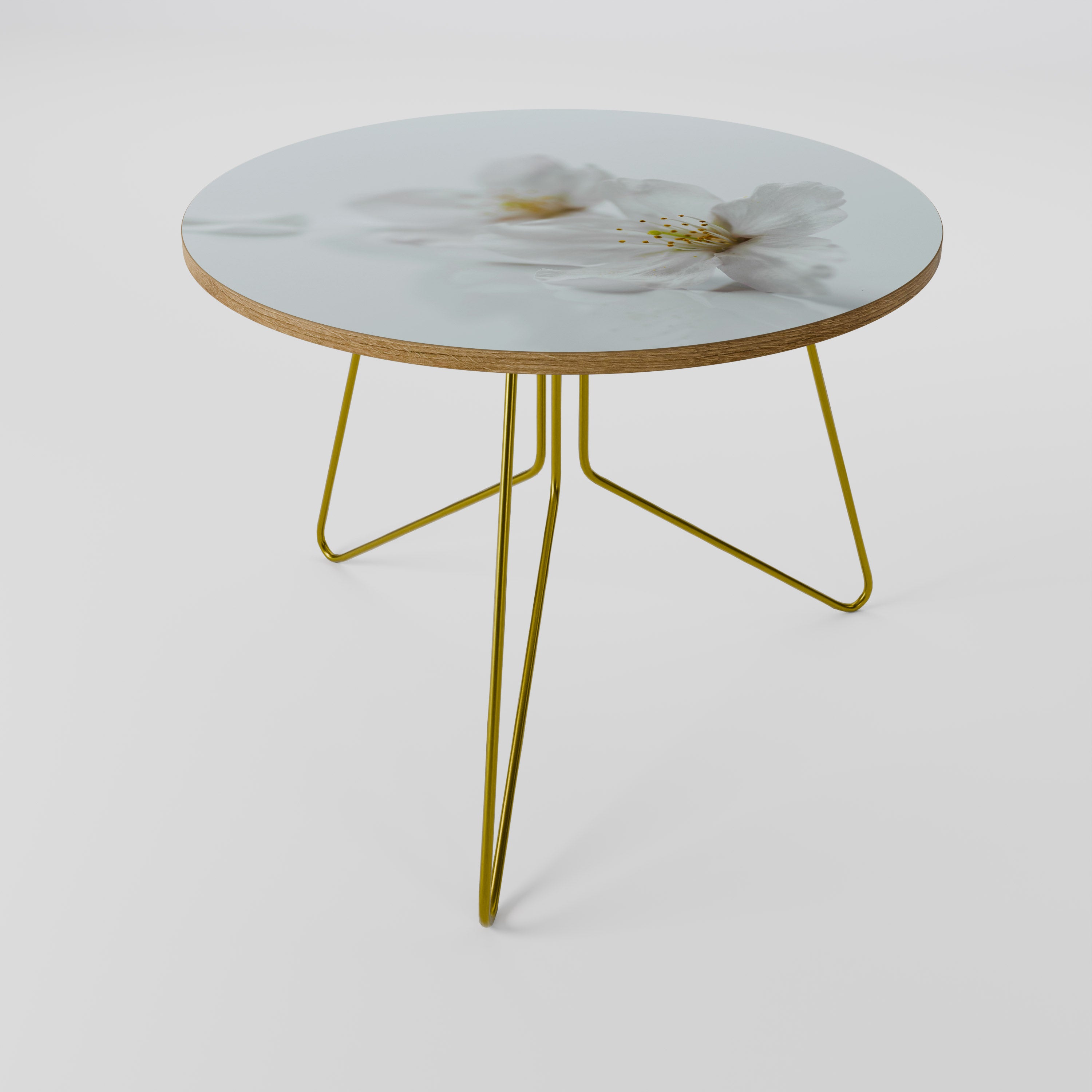 FLEETING WHITE PETALS Coffee Table