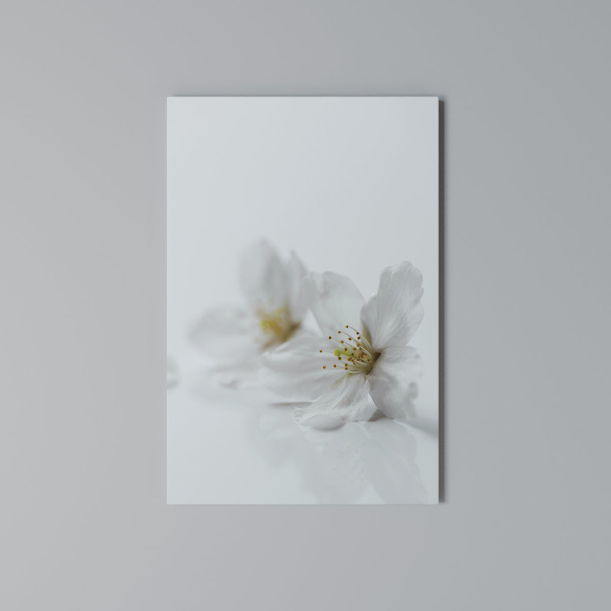FLEETING WHITE PETALS Vertical Canvas Print