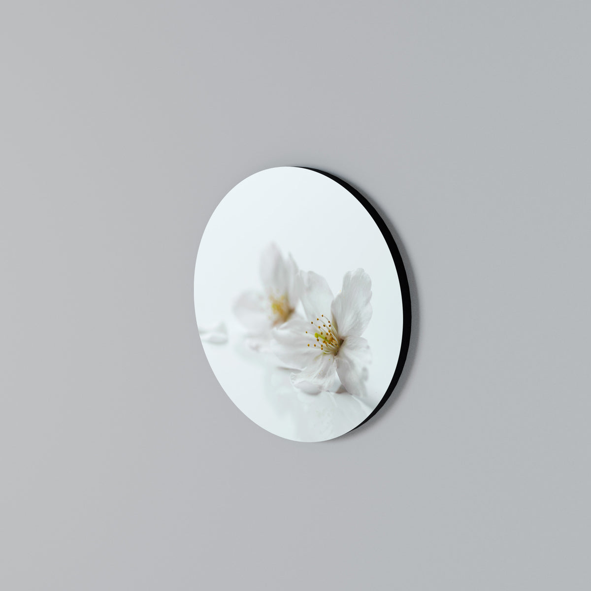 FLEETING WHITE PETALS Round Wall Art