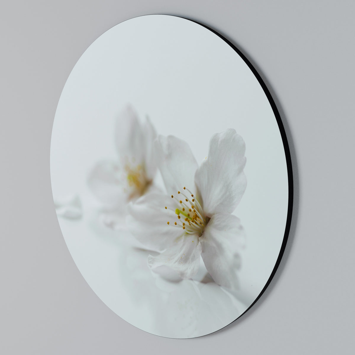FLEETING WHITE PETALS Round Wall Art