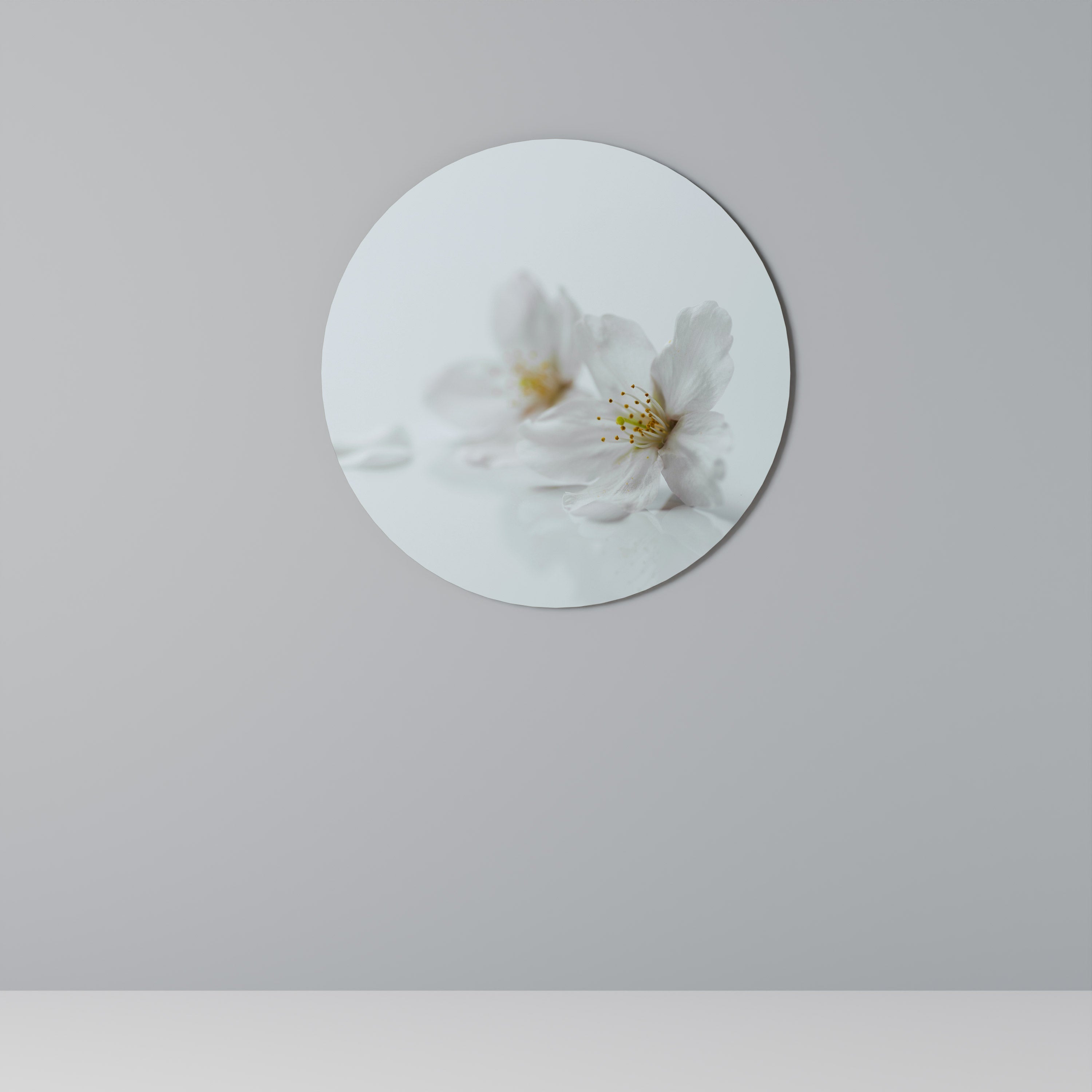 FLEETING WHITE PETALS Runde Wandkunst