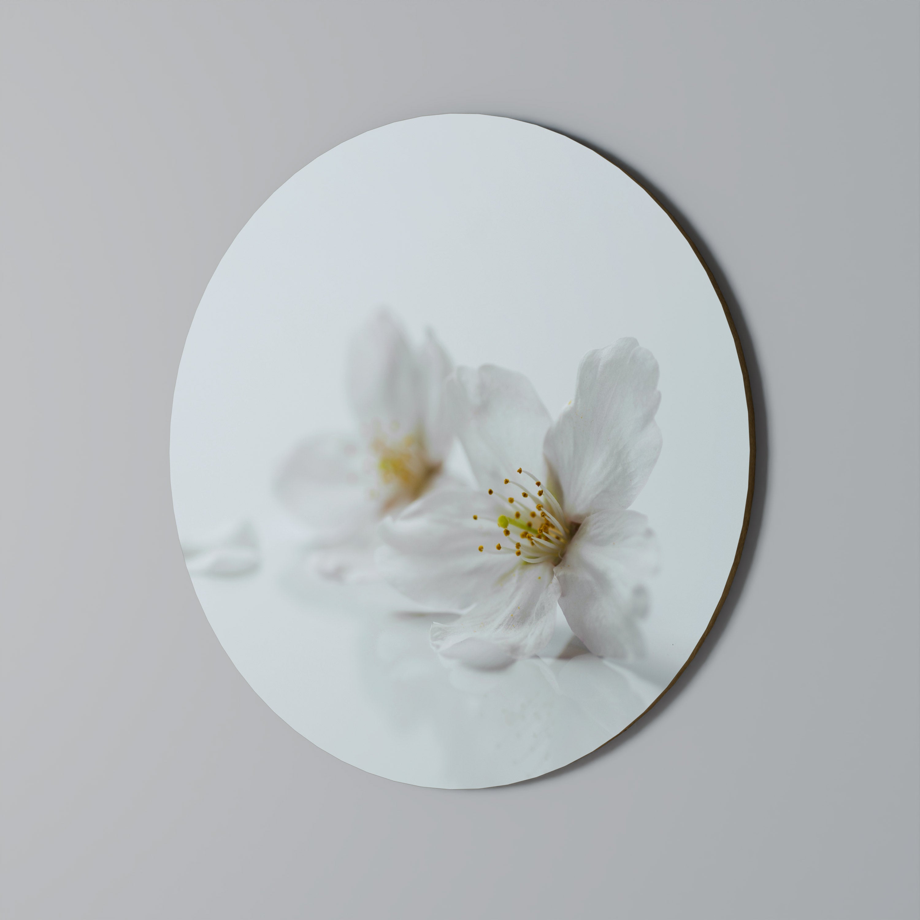 FLEETING WHITE PETALS Runde Wandkunst