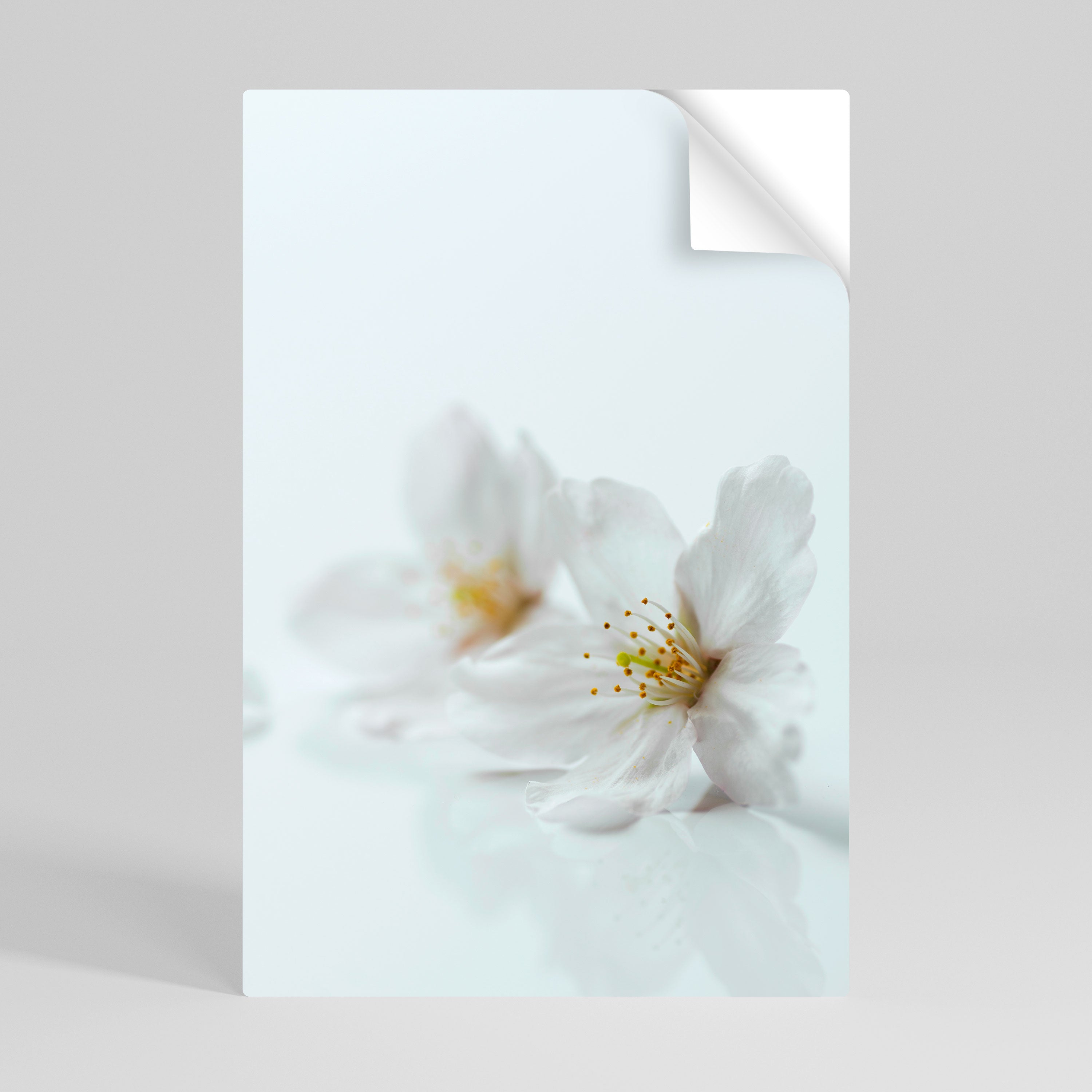 FLEETING WHITE PETALS Vertikales Poster zum Abziehen und Aufkleben