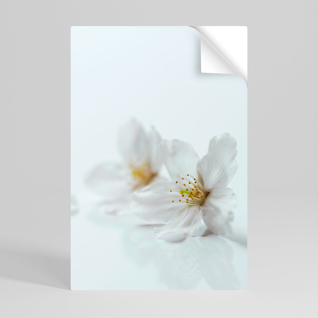 FLEETING WHITE PETALS Vertikales Poster zum Abziehen und Aufkleben