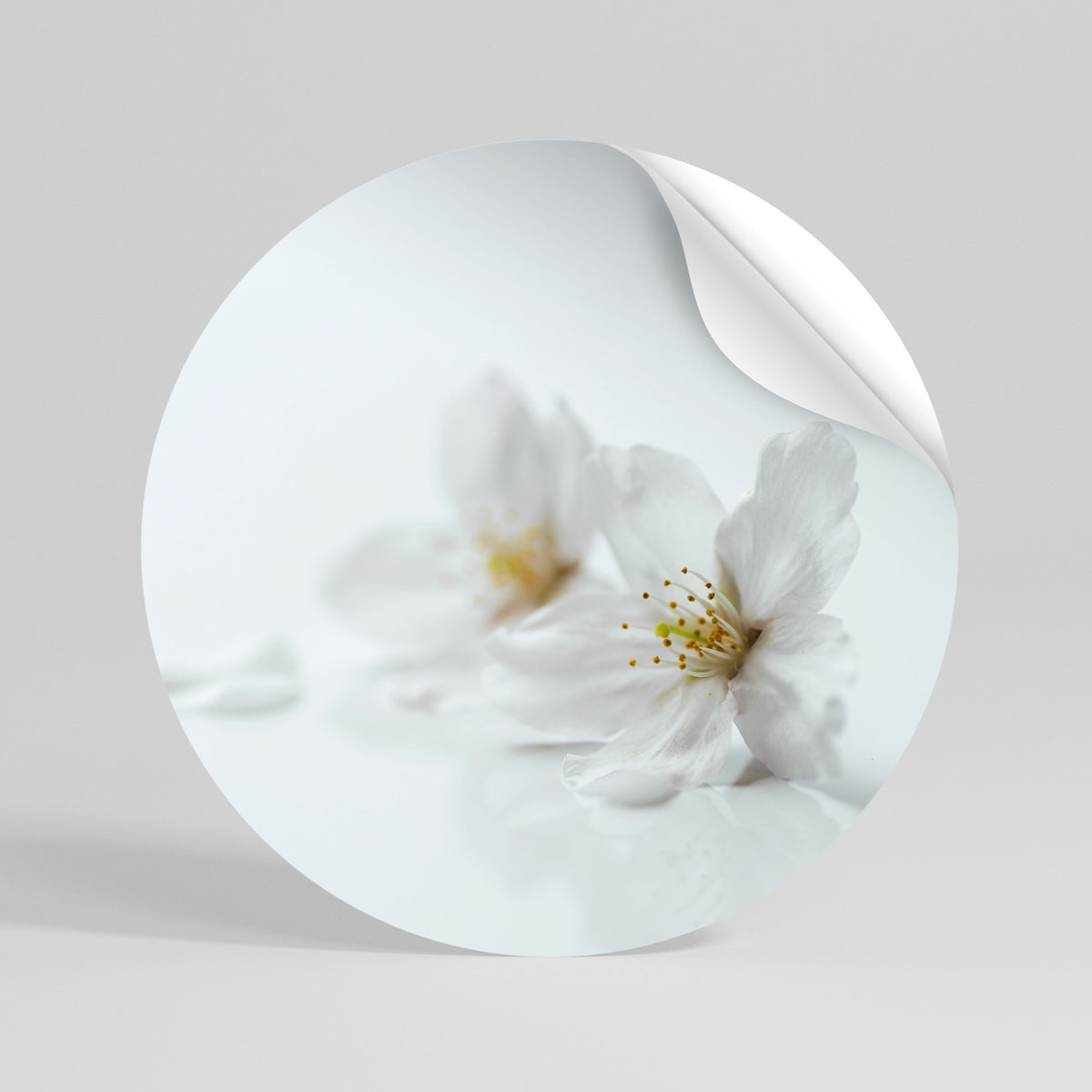 FLEETING WHITE PETALS Runder Wandsticker zum Abziehen und Aufkleben