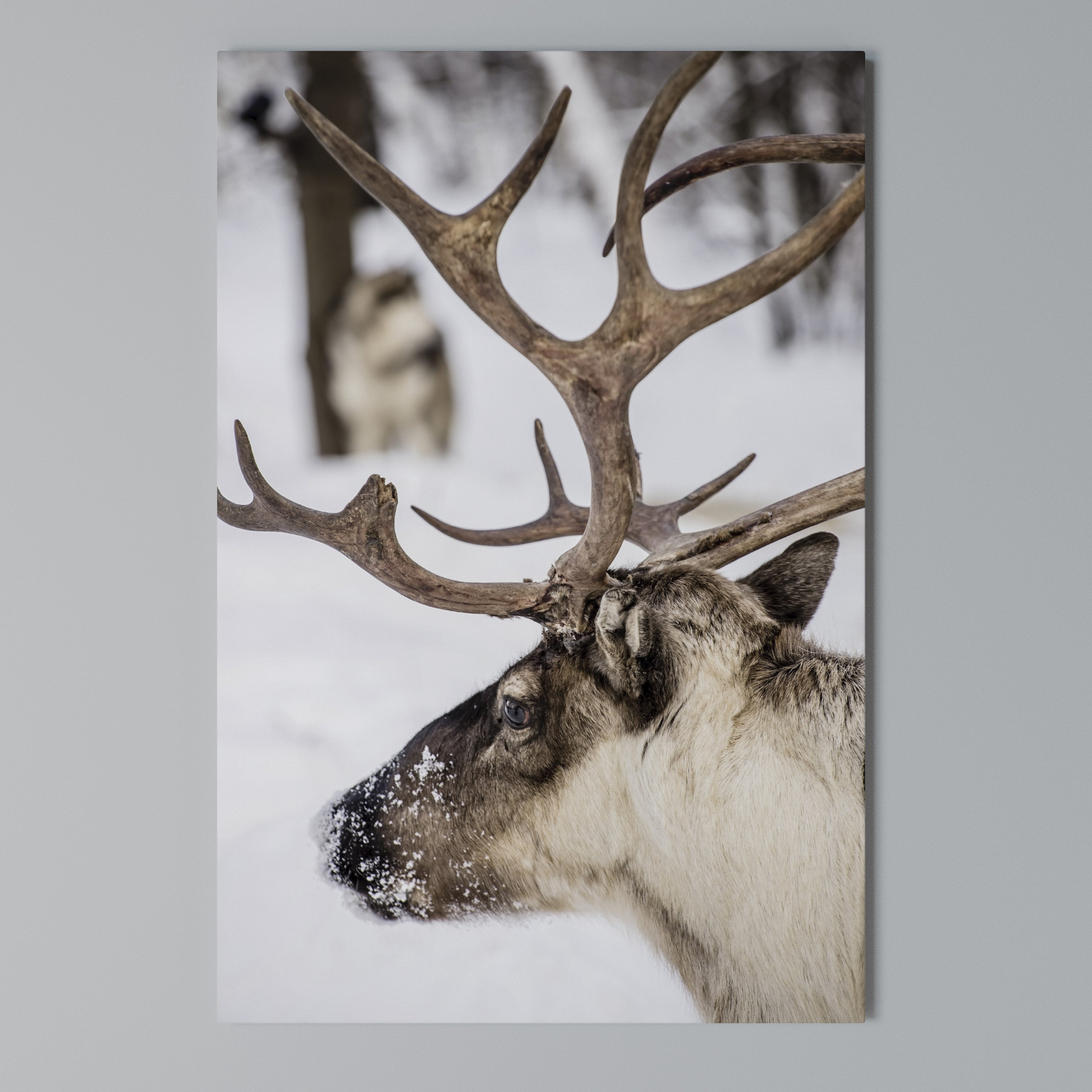 WHISPERS OF FROST Vertical Canvas Print