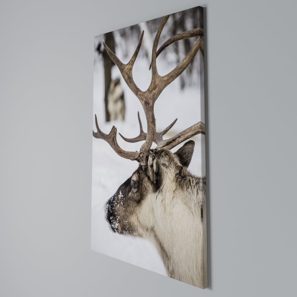 WHISPERS OF FROST Vertical Canvas Print