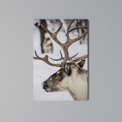 WHISPERS OF FROST Vertical Canvas Print