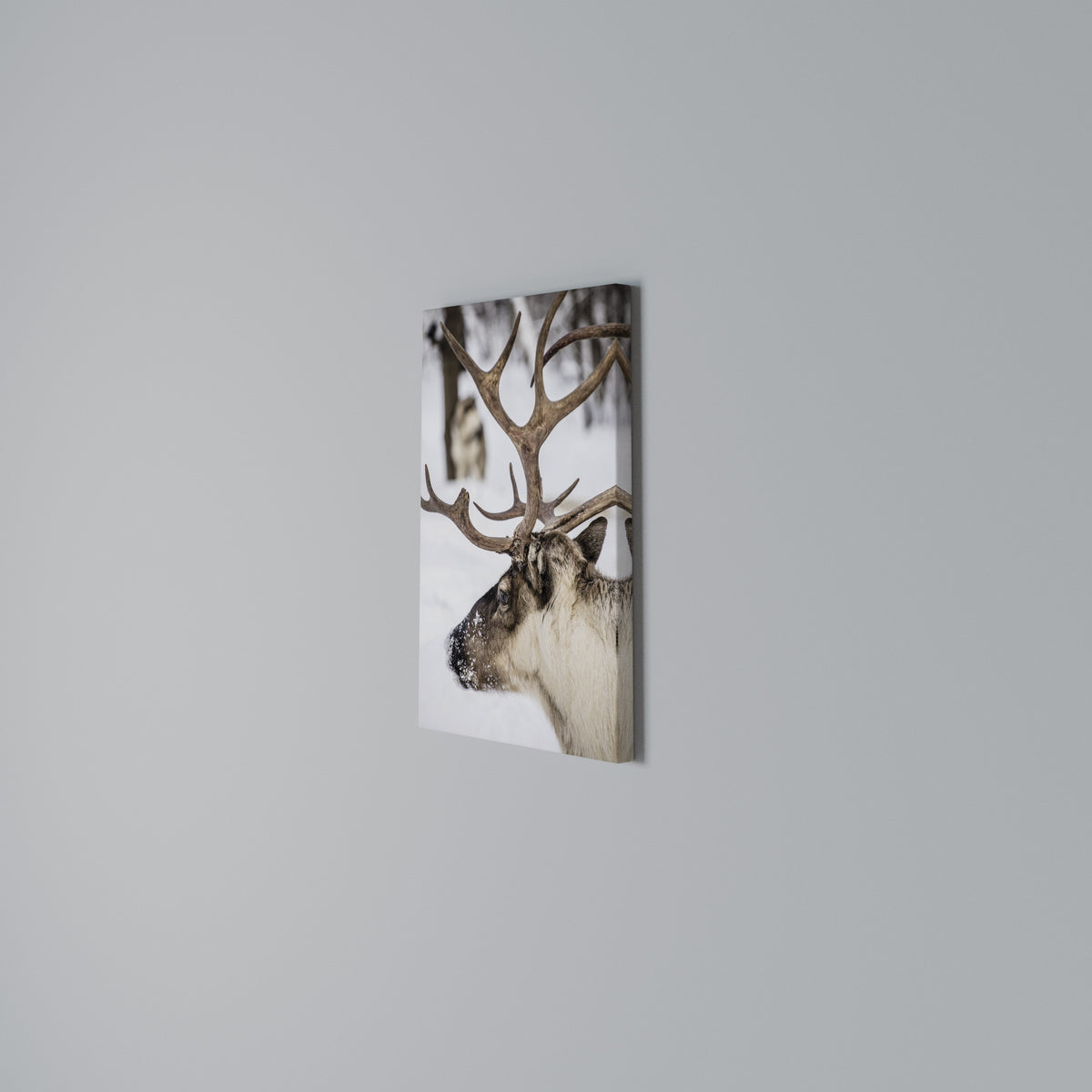 WHISPERS OF FROST Vertical Canvas Print