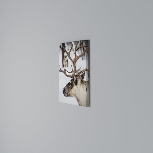 WHISPERS OF FROST Vertical Canvas Print