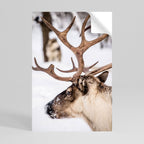 WHISPERS OF FROST Selbstklebendes Poster - Hochformat