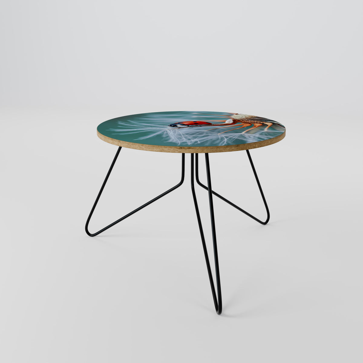 LADYBUG BALANCE Couchtisch