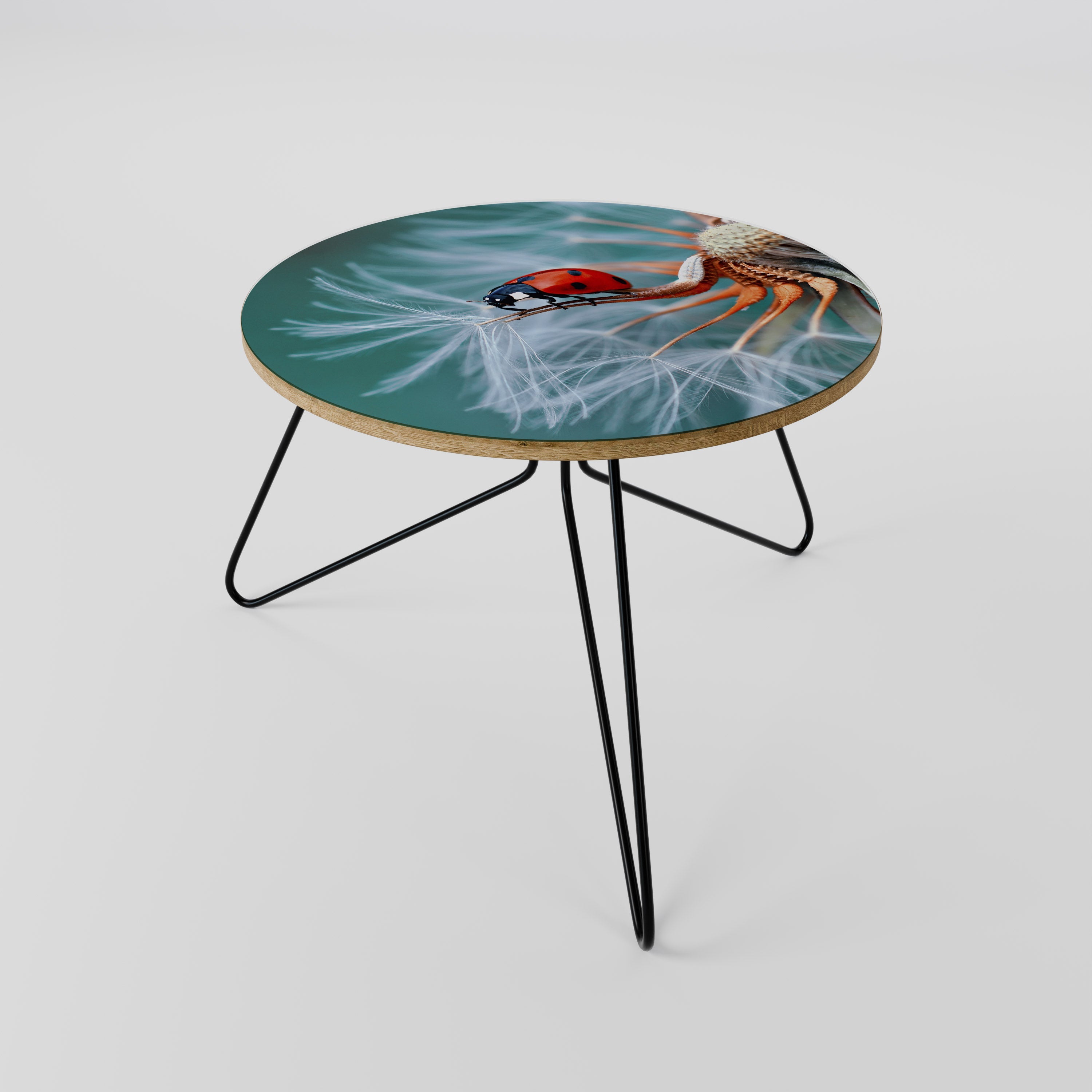 LADYBUG BALANCE Couchtisch 60