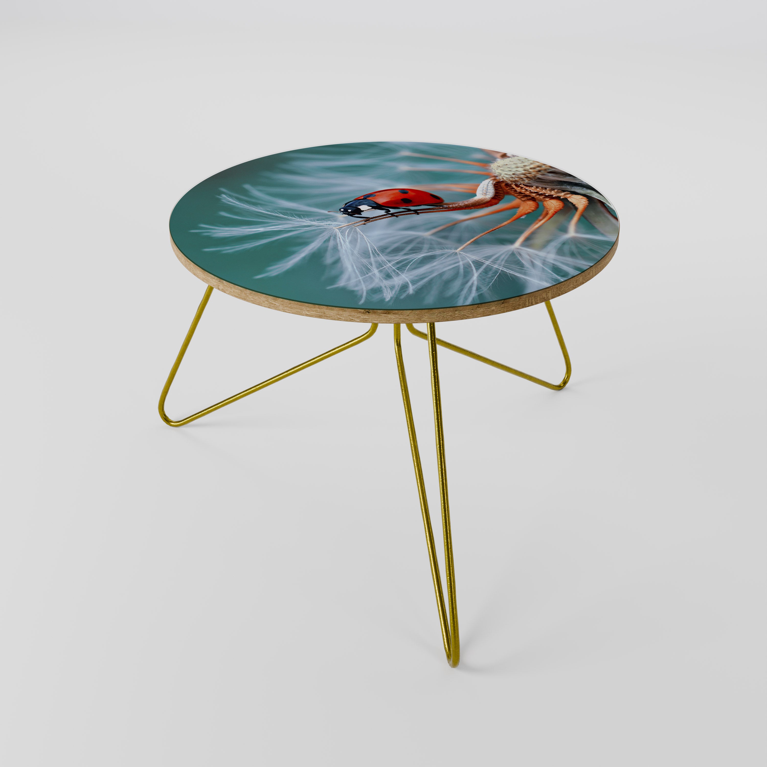 LADYBUG BALANCE Couchtisch