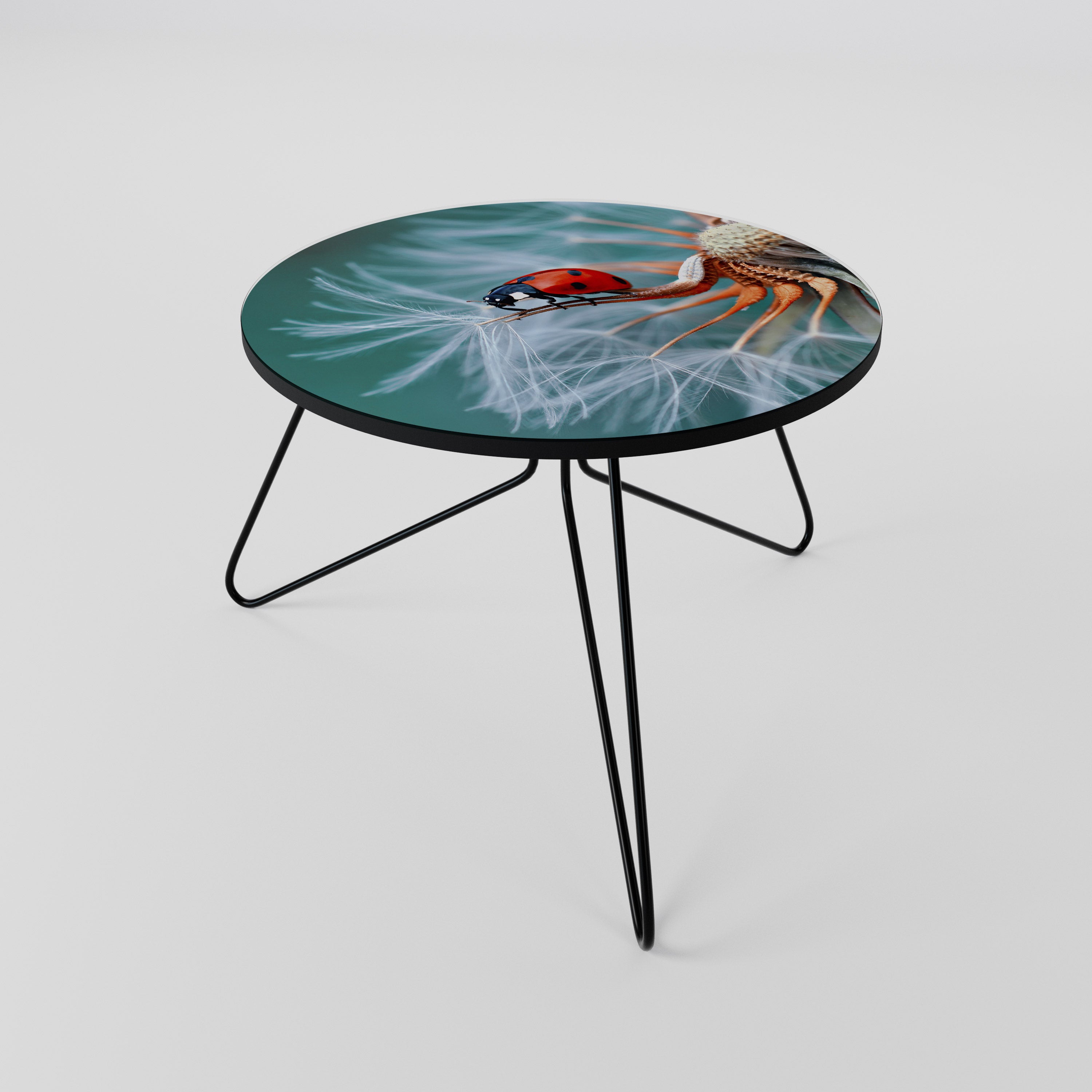 LADYBUG BALANCE Couchtisch 60