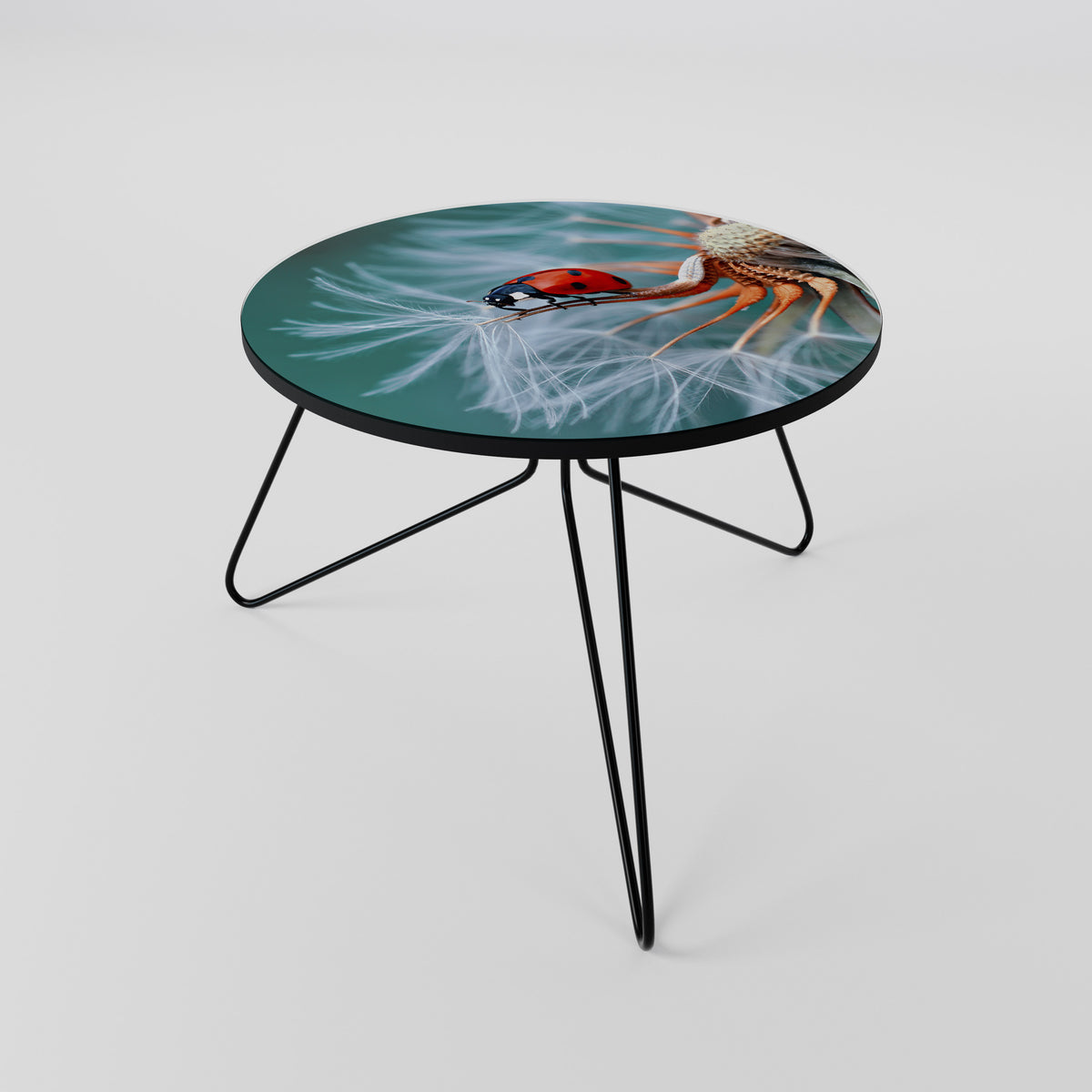 LADYBUG BALANCE Couchtisch