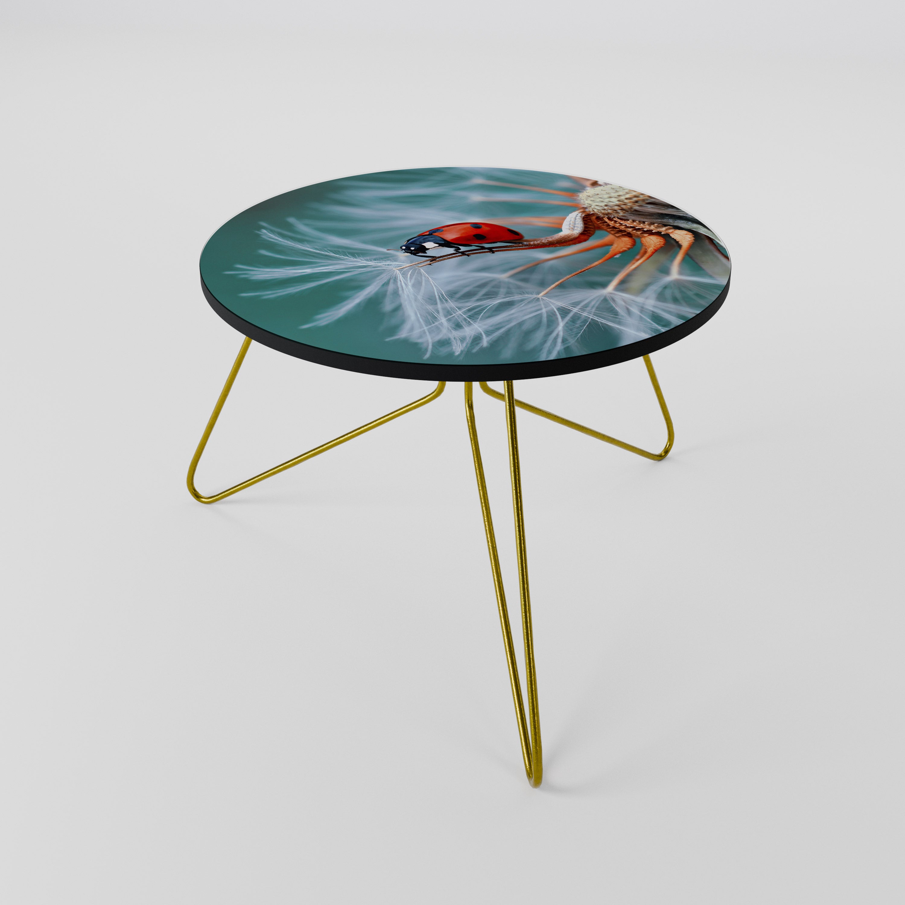 LADYBUG BALANCE Couchtisch