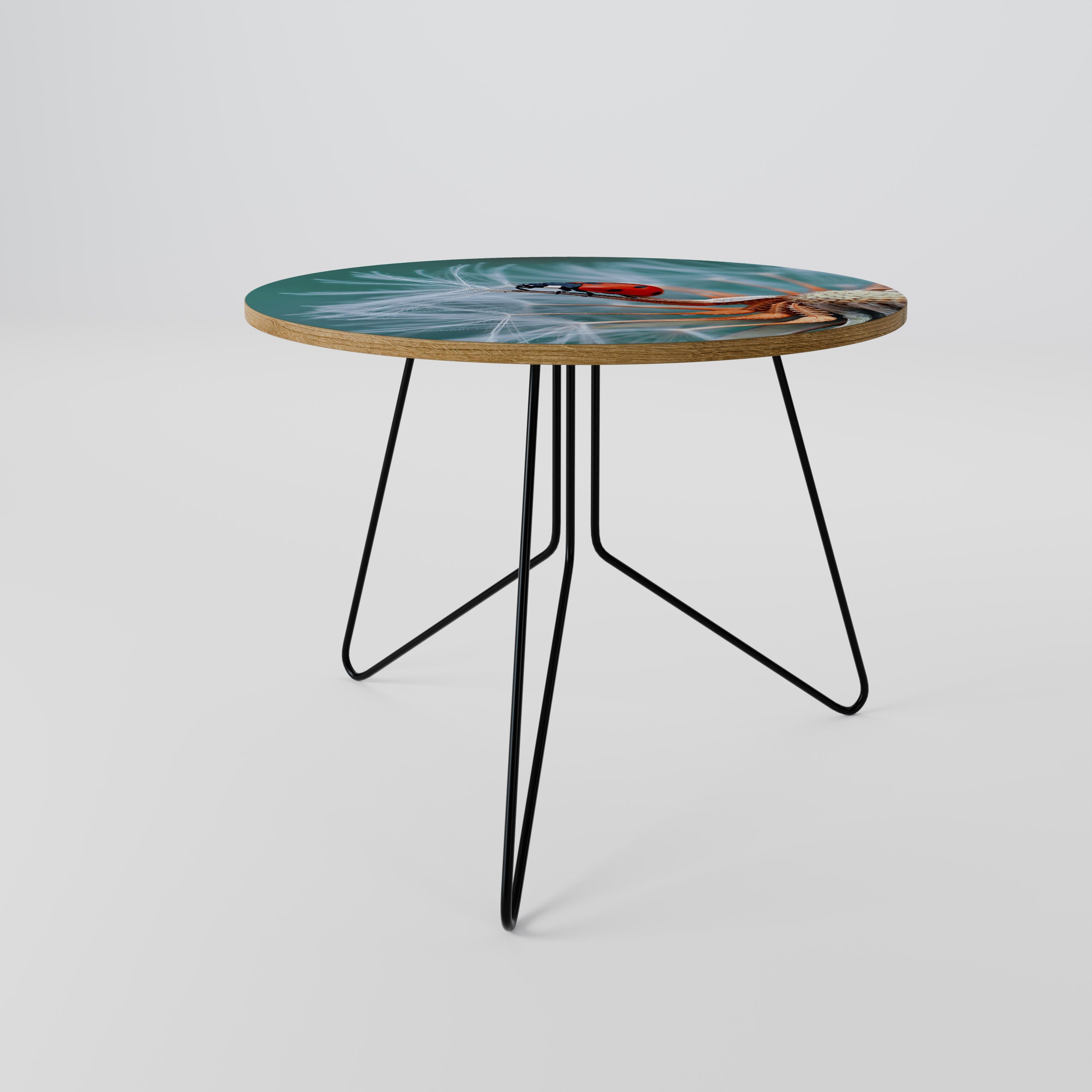 LADYBUG BALANCE Coffee Table 69