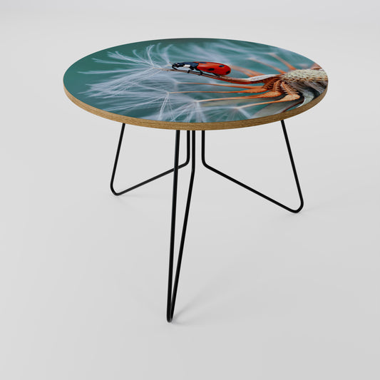 LADYBUG BALANCE Coffee Table