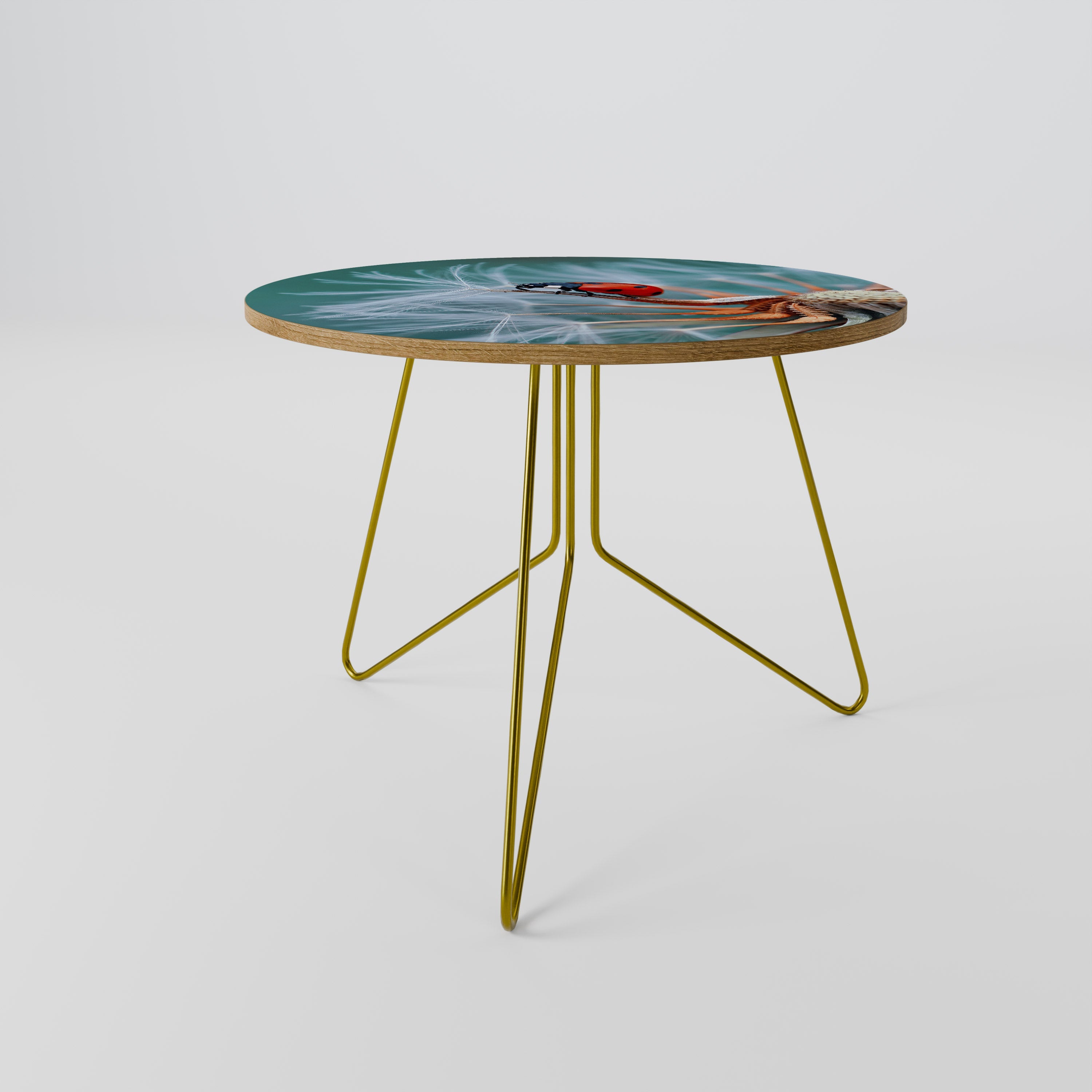 LADYBUG BALANCE Coffee Table 69