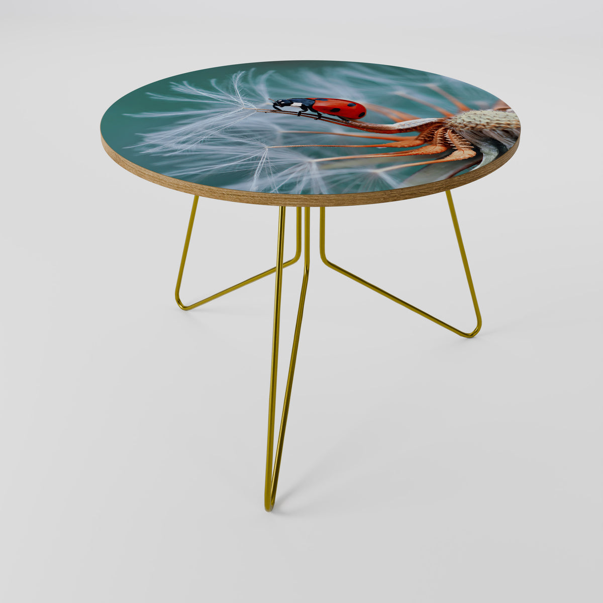 LADYBUG BALANCE Couchtisch