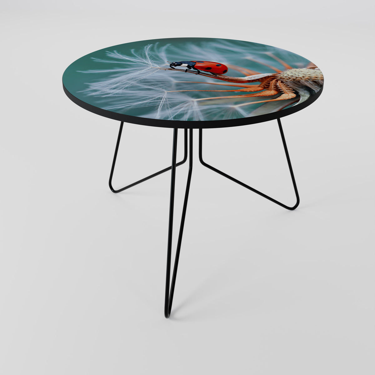 LADYBUG BALANCE Couchtisch