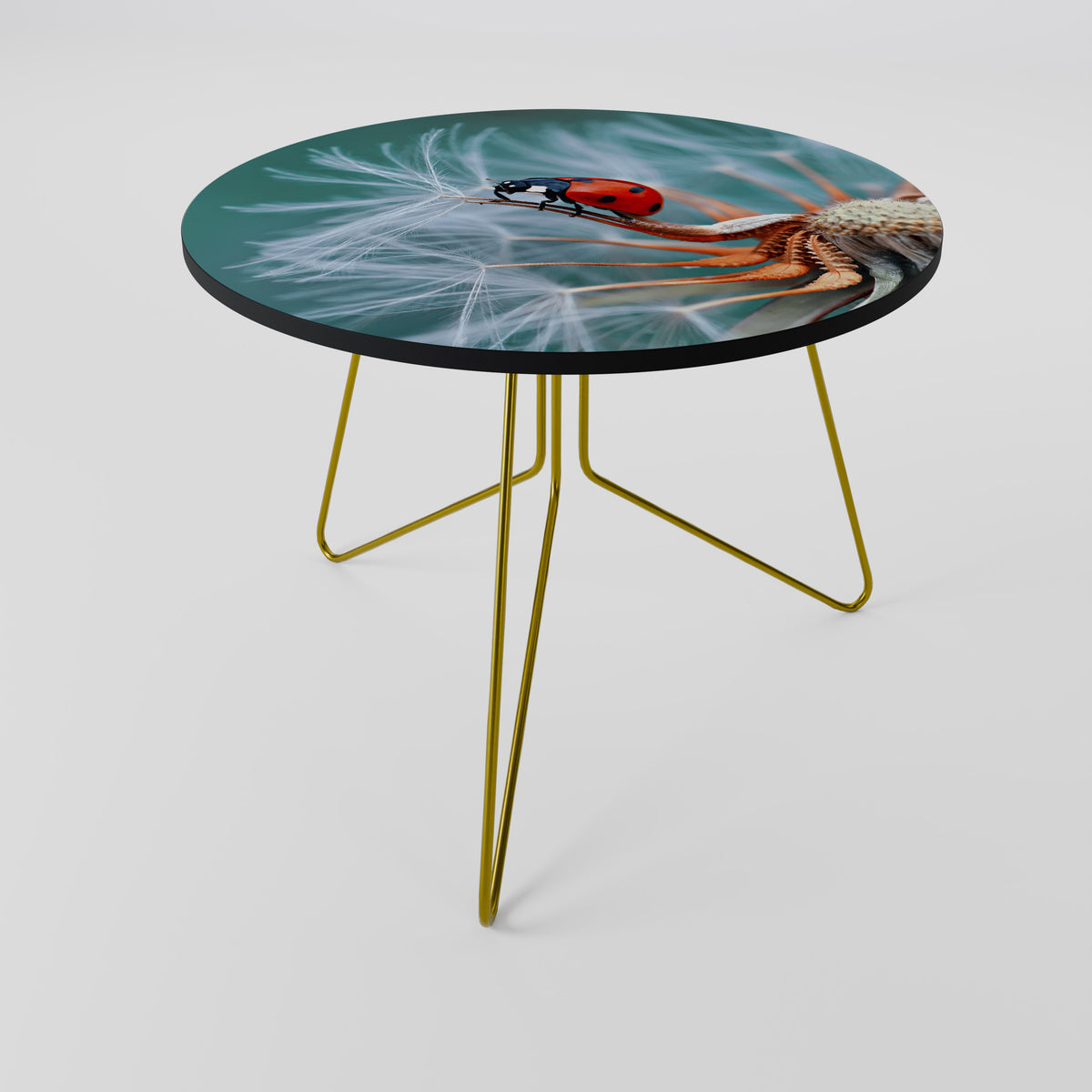 LADYBUG BALANCE Couchtisch