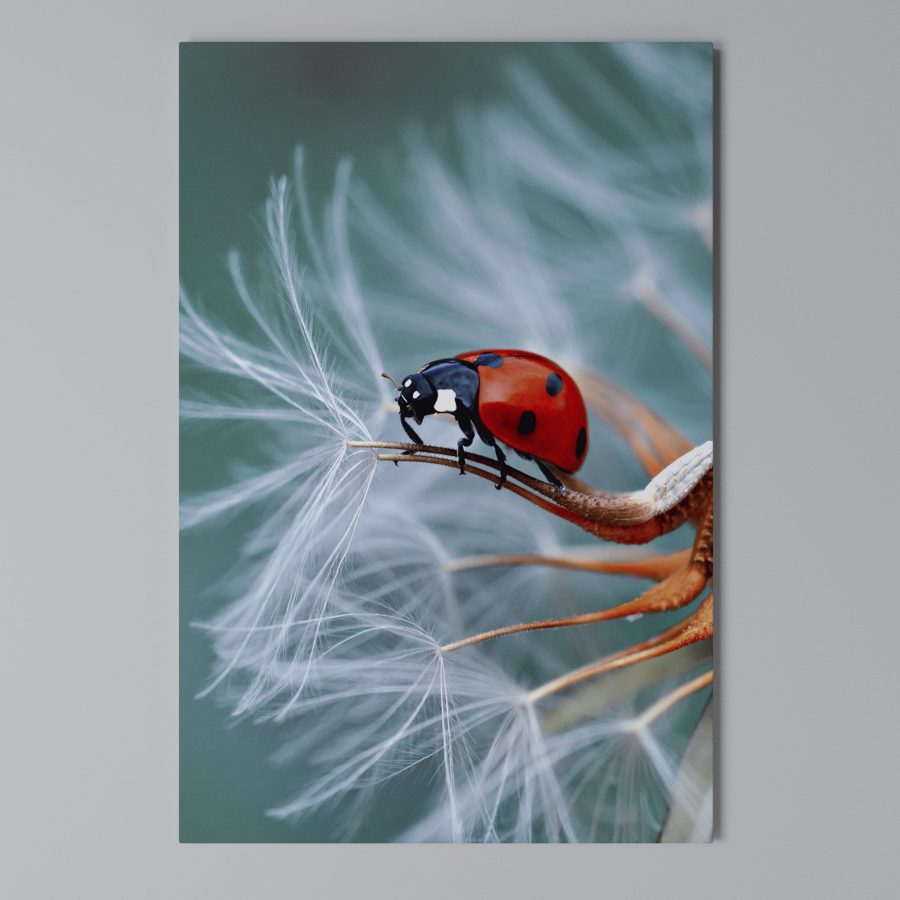 LADYBUG BALANCE Vertical Canvas Print