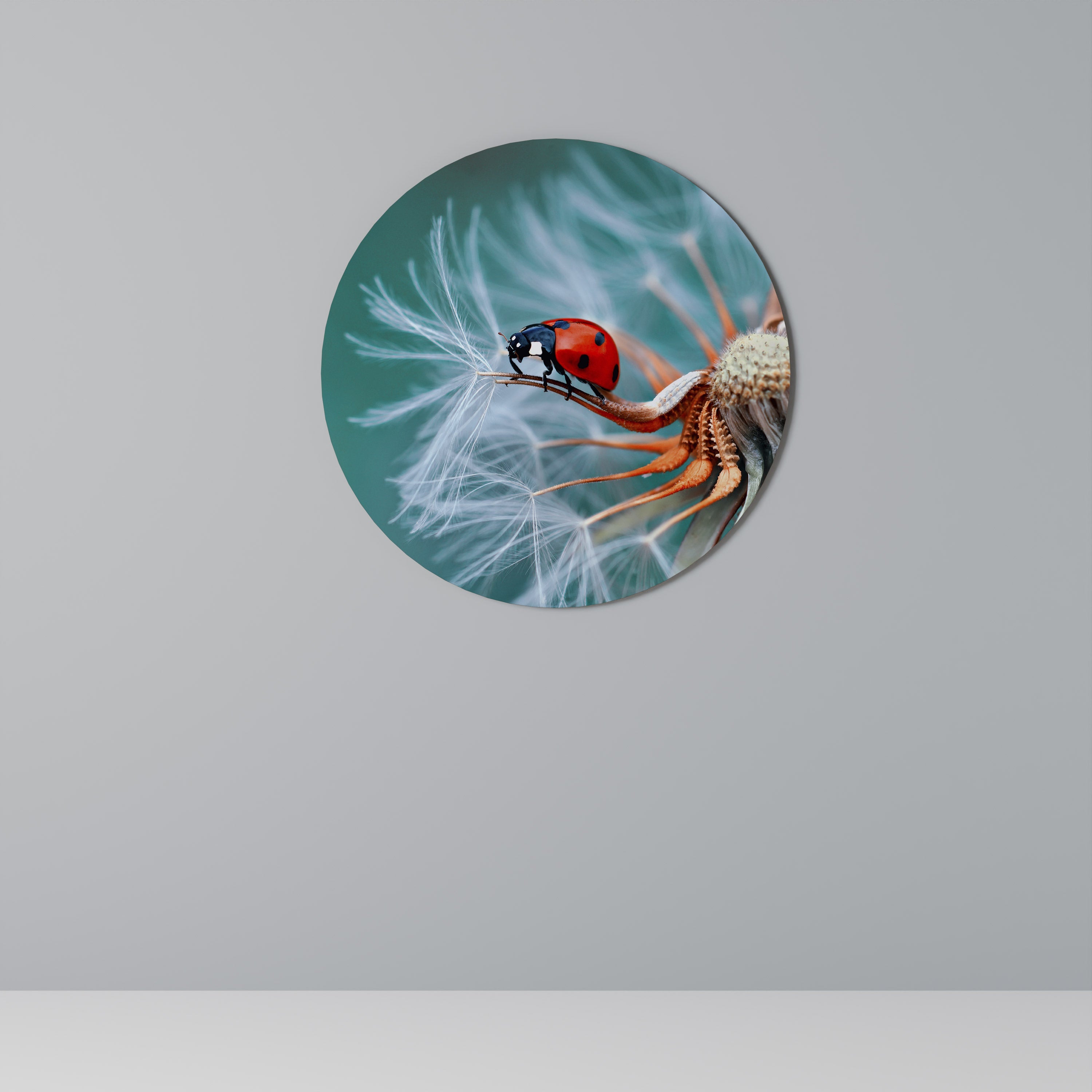 LADYBUG BALANCE Runde Wandkunst