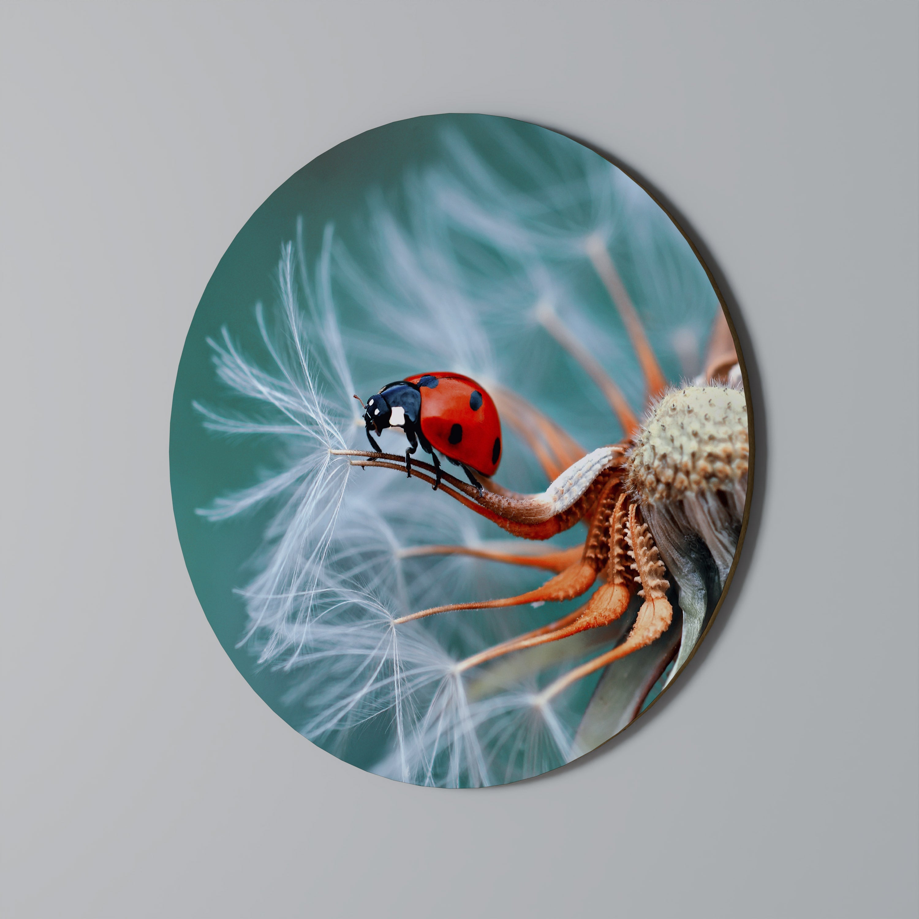 LADYBUG BALANCE Runde Wandkunst