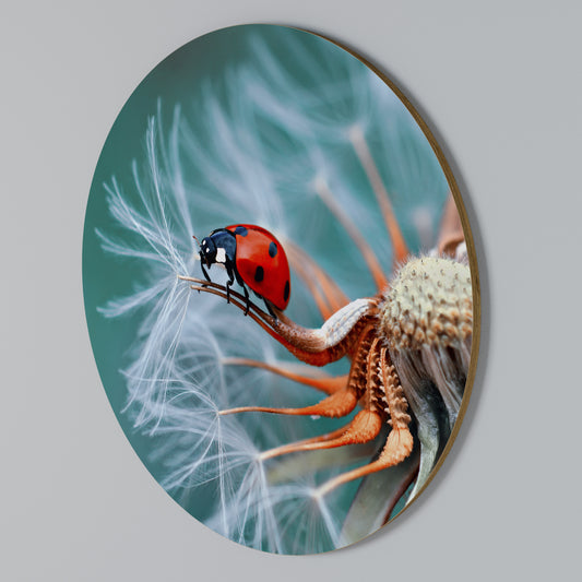 LADYBUG BALANCE Rundes Wandbild