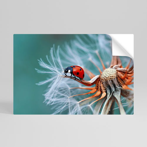 LADYBUG BALANCE Selbstklebendes Horizontal-Poster