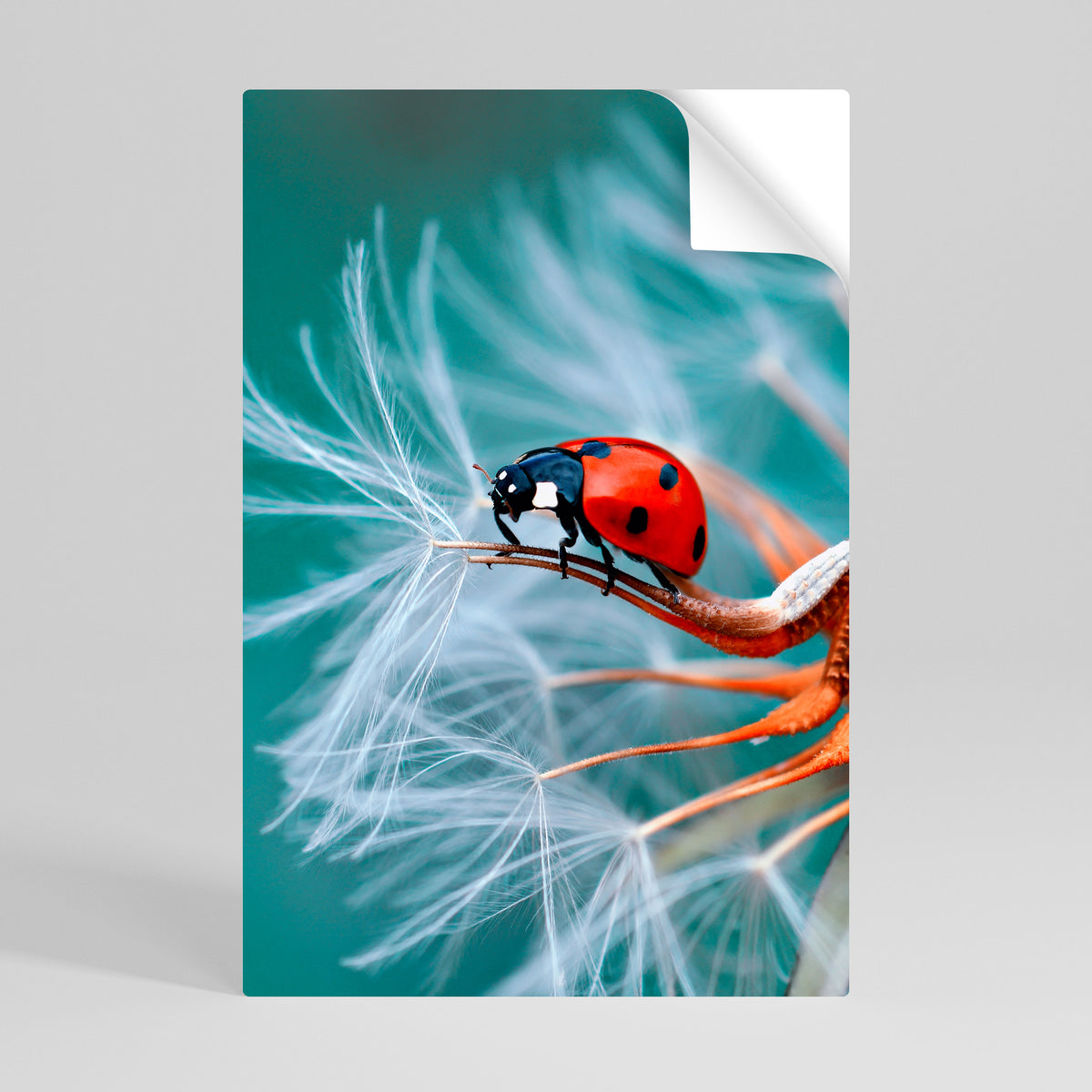 LADYBUG BALANCE Selbstklebendes Poster - Hochformat