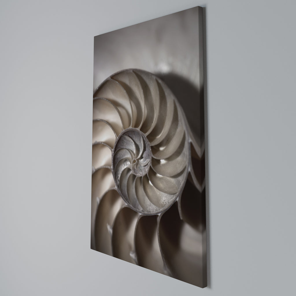 WHISPERS OF SHELLS Vertical Canvas Print