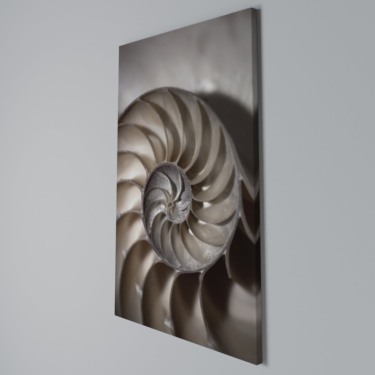 WHISPERS OF SHELLS Vertical Canvas Print
