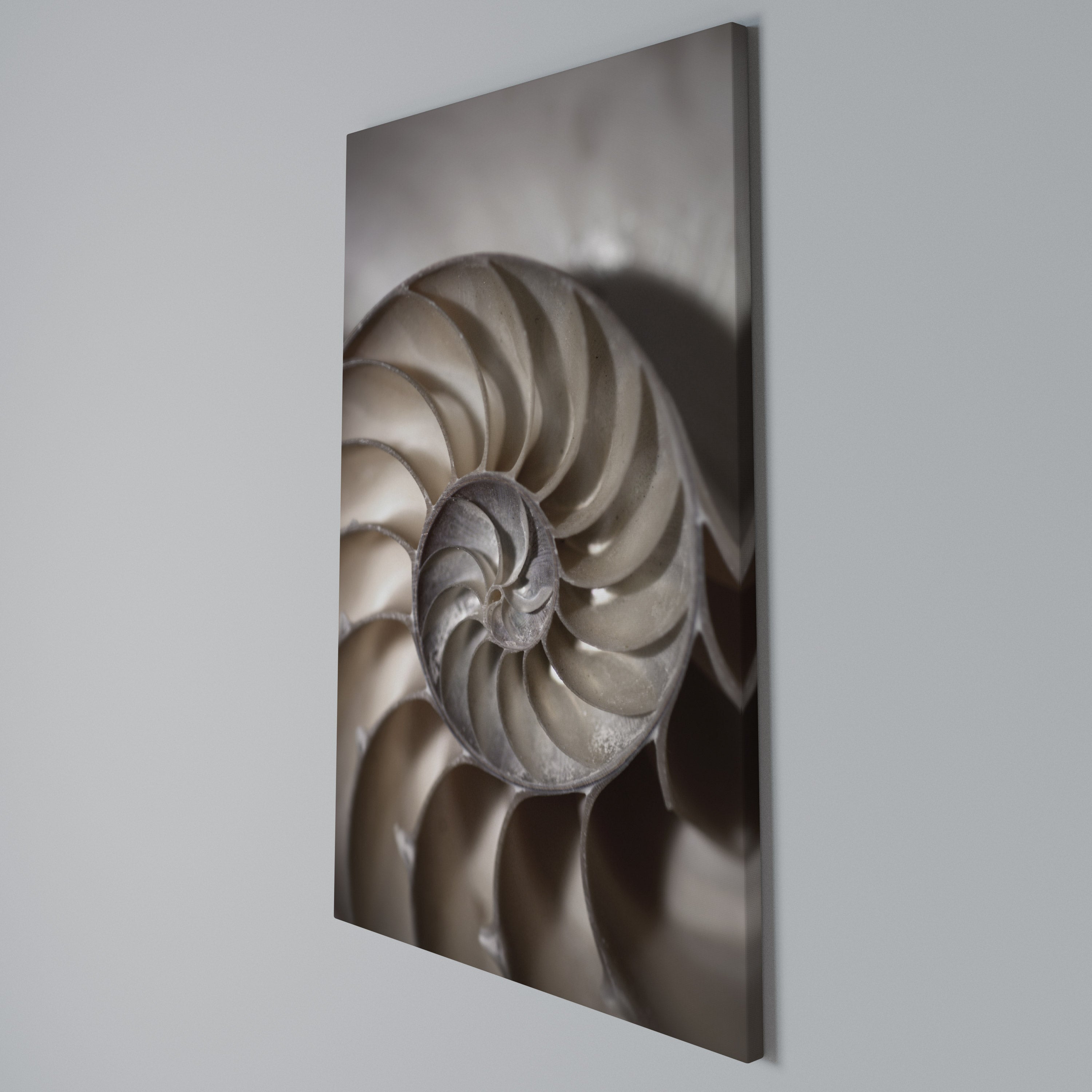 WHISPERS OF SHELLS Vertical Canvas Print