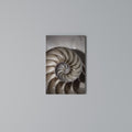 WHISPERS OF SHELLS Vertical Canvas Print