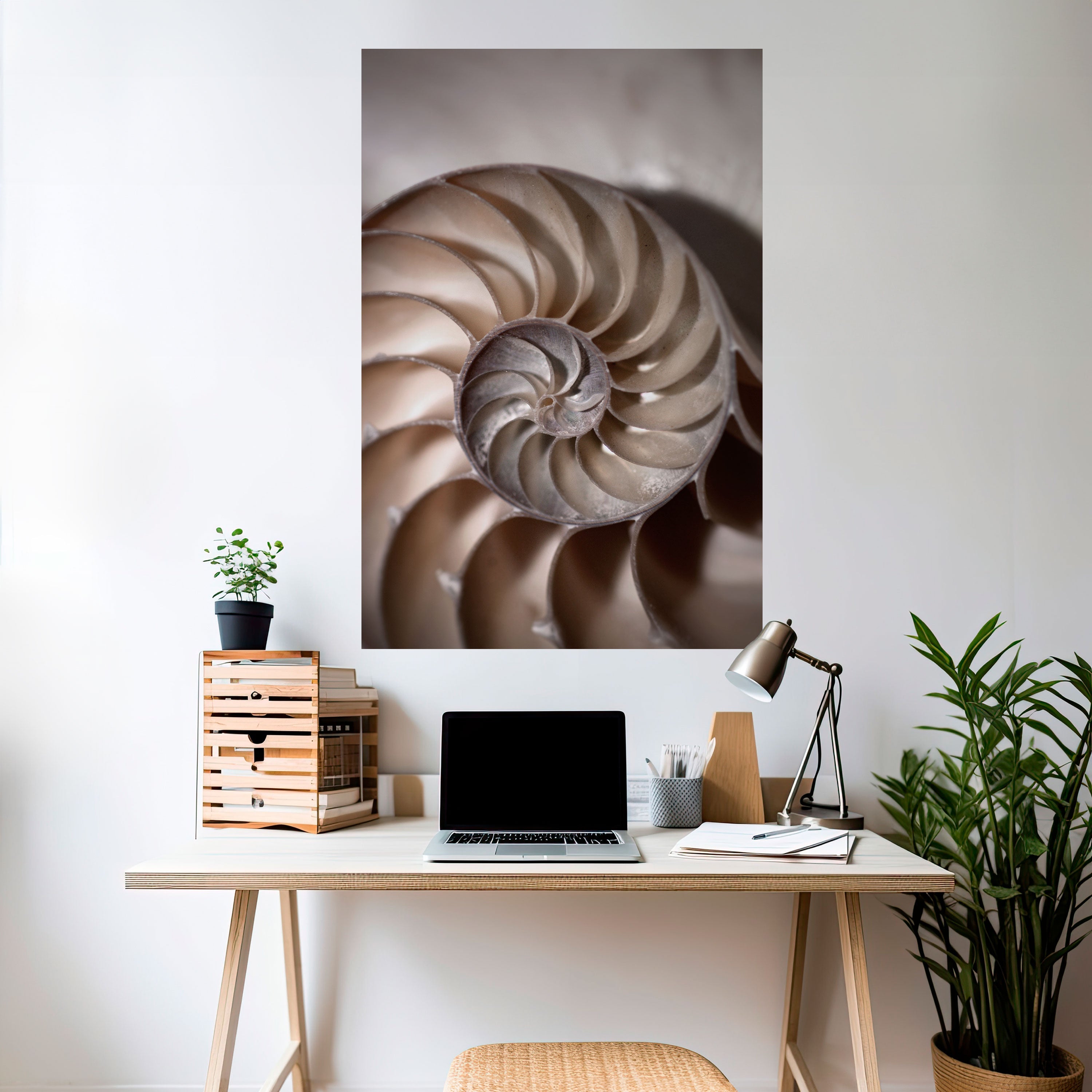 WHISPERS OF SHELLS Vertikales Poster zum Abziehen und Aufkleben