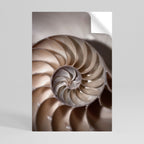 WHISPERS OF SHELLS Selbstklebendes Poster - Hochformat