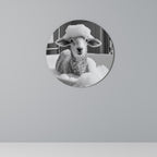 BUBBLE BATH BAA Runde Wanddekoration Ø 69 cm