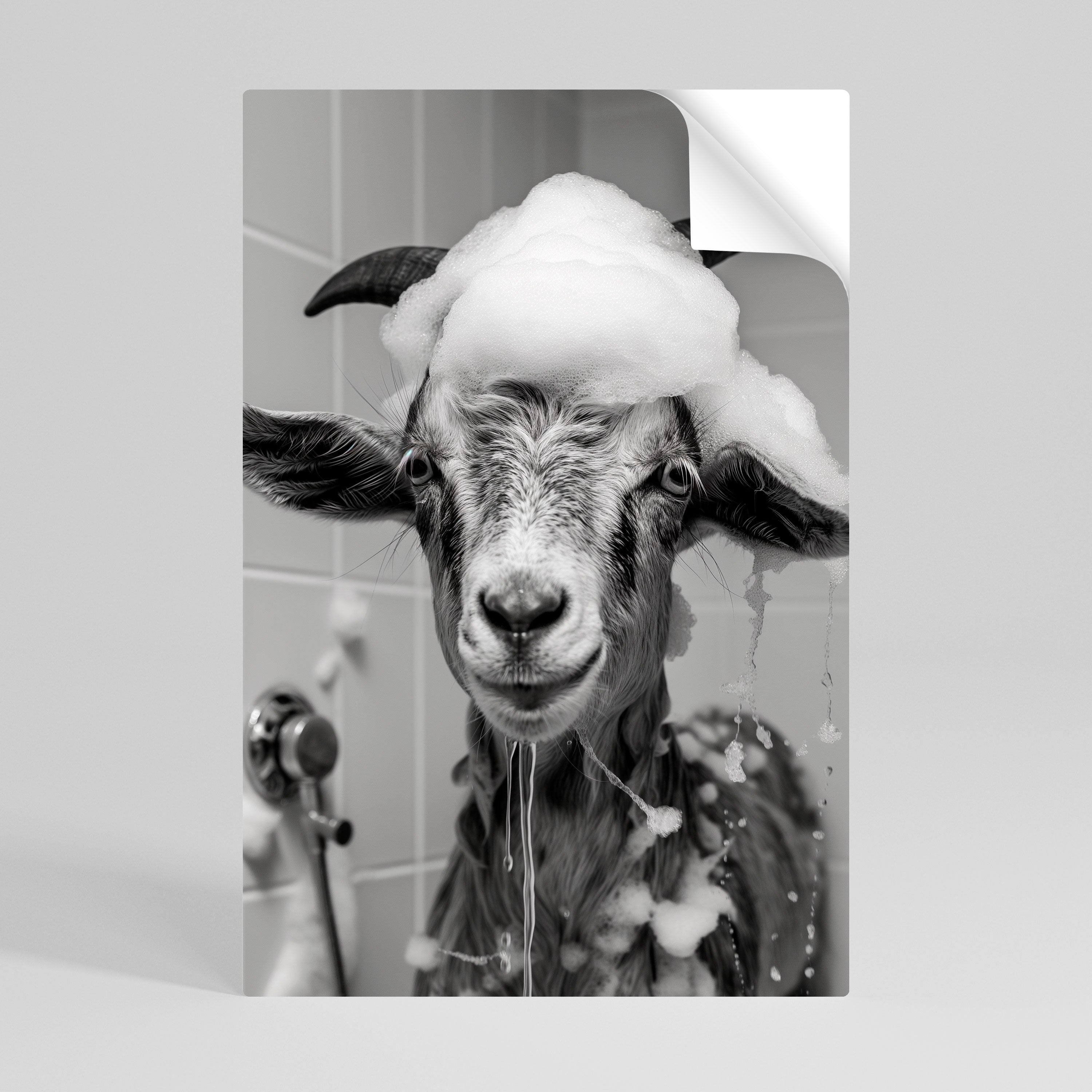 SOAPY GOAT GIGGLES Vertikales Poster zum Abziehen und Aufkleben