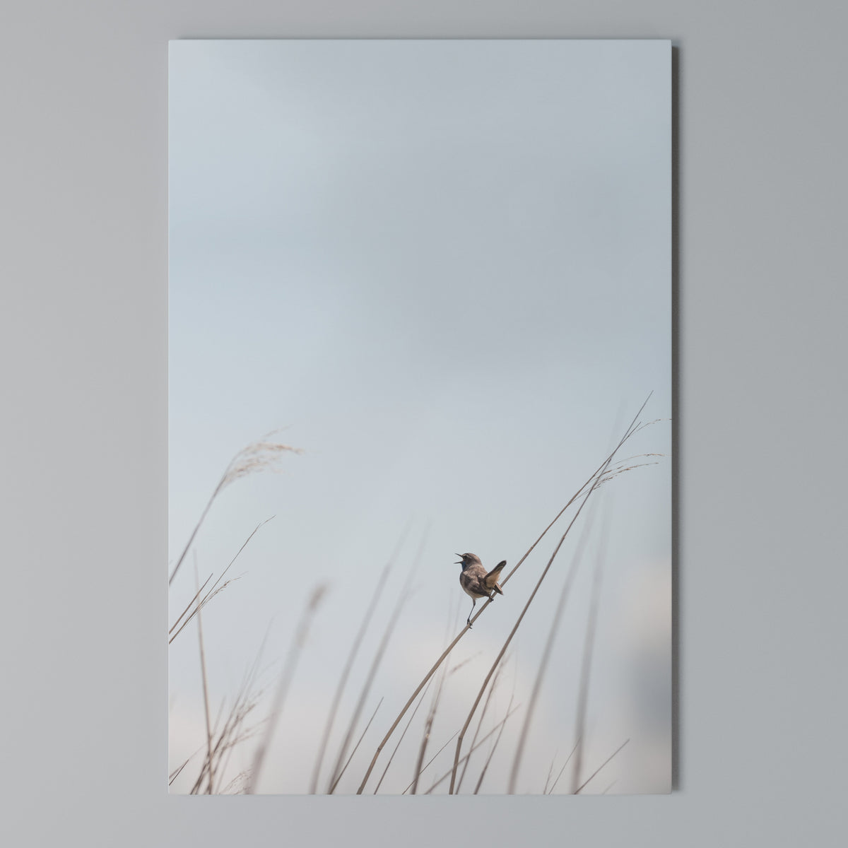 NATURE'S CHORUS Vertical Canvas Print