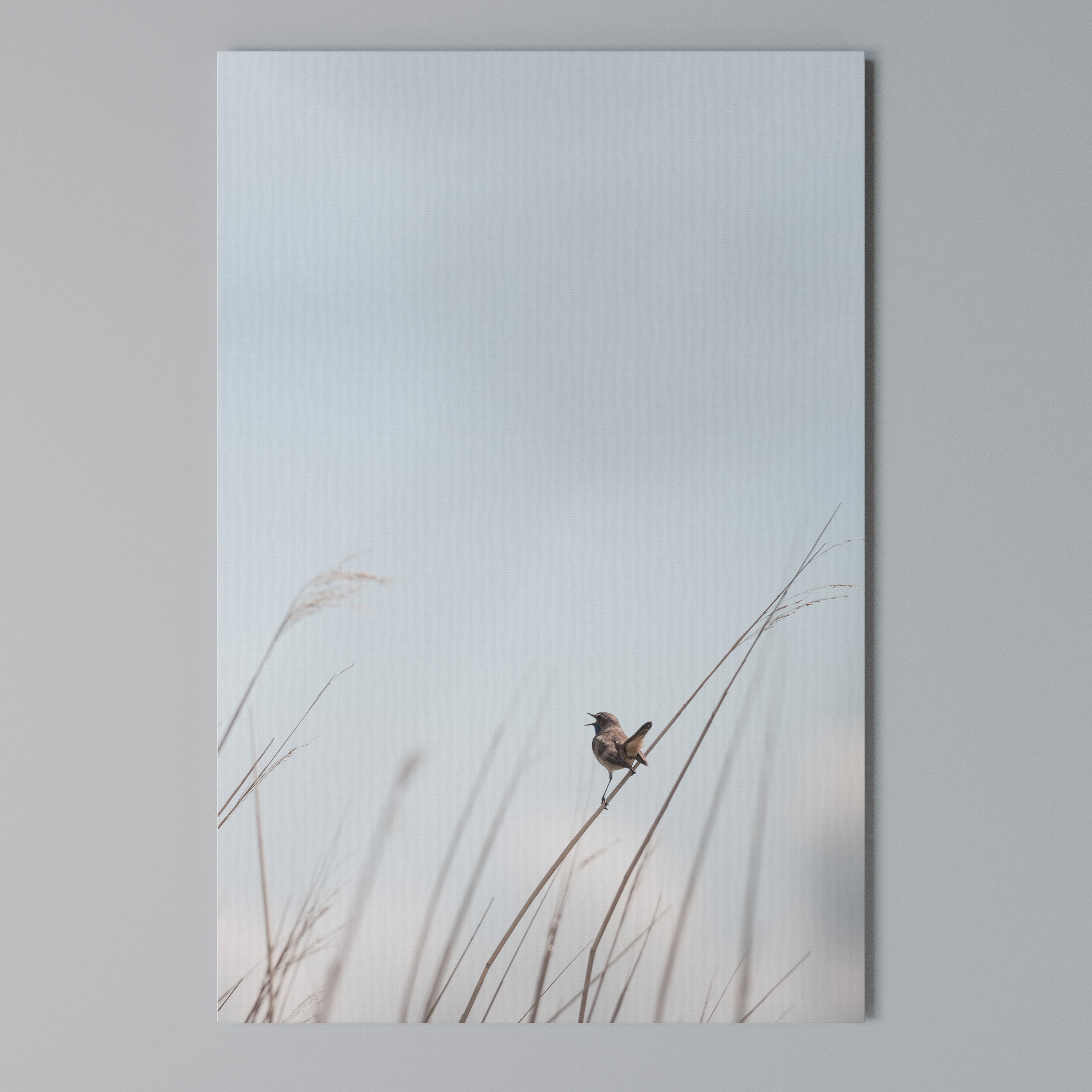 NATURE'S CHORUS Vertical Canvas Print